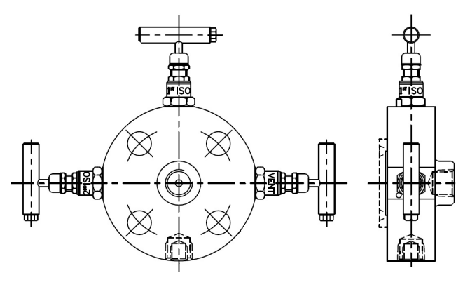 Oliver Gauge Block Monoflange Valves