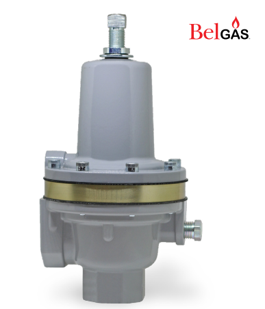 BelGAS P289RC Exhaust Booster