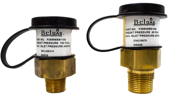 Belgas P255 High-Capacity Relief Valve