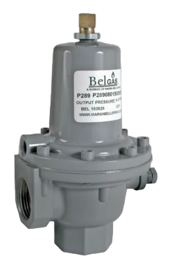 BelGAS P289 Relief Valve / Back Pressure Regulator