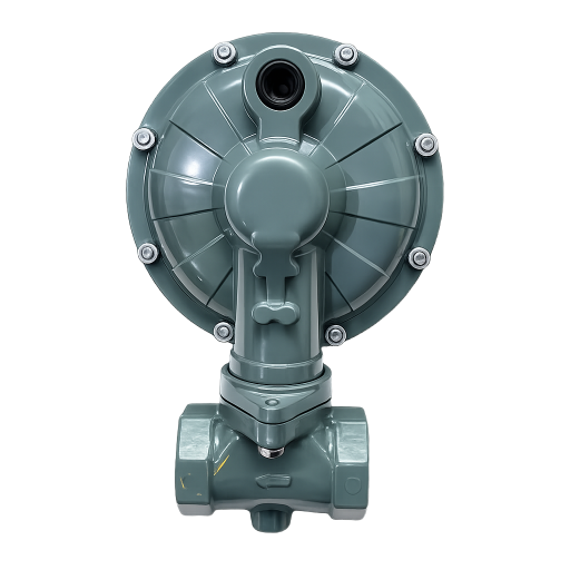 Fisher CS400 Pressure Reducing Regulators