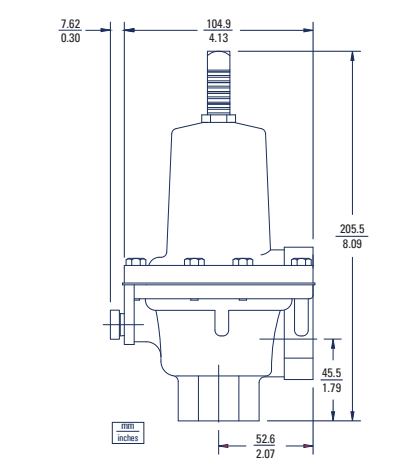 BelGAS P289 Relief Valve / Back Pressure Regulator
