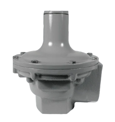 BelGAS P289 Relief Valve / Back Pressure Regulator