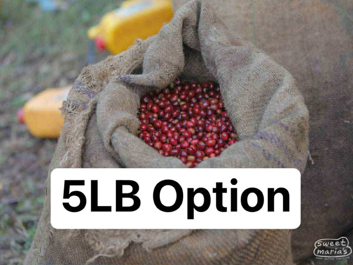 Ethiopian Organic Birbirsa (5Lb Bag)