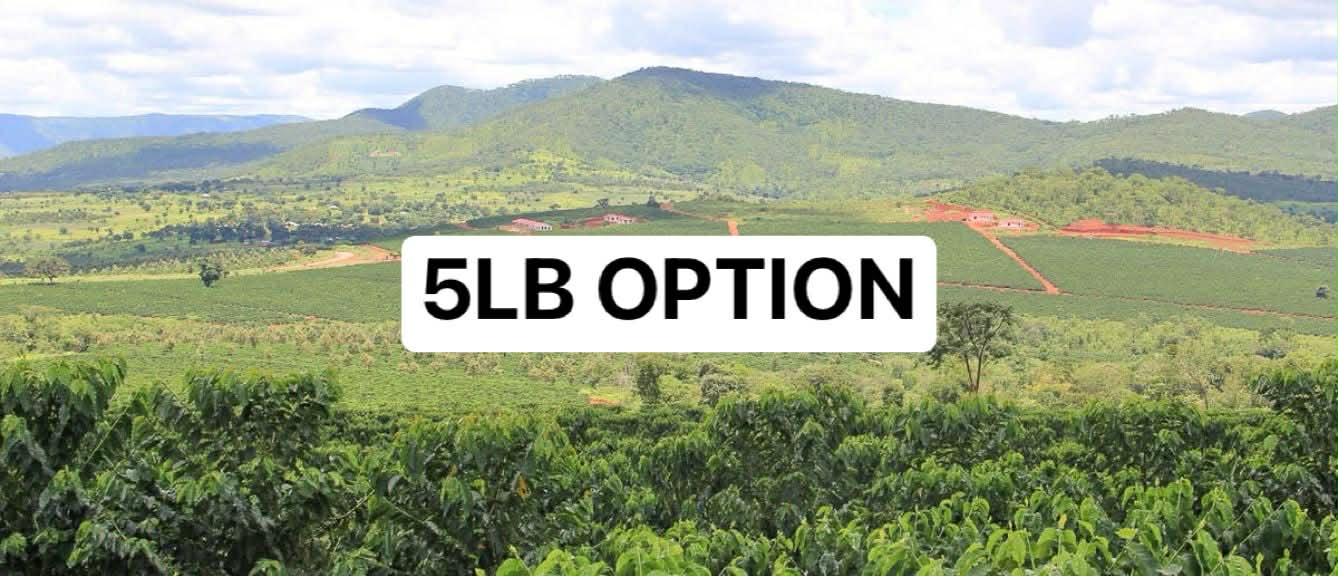 Zambia Anaerobic Natural Misambo (5LB)