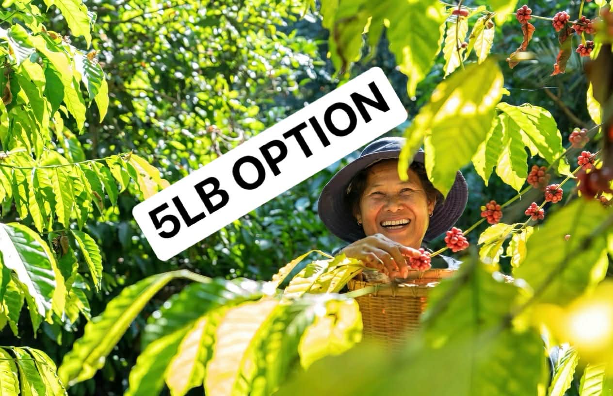 Bali Kintimani Highlands Missionary Beans (5LB)