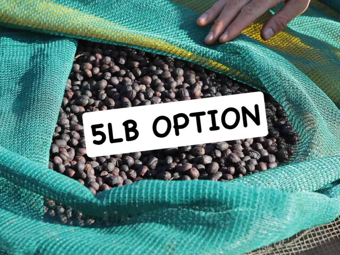 Ethiopia Dry Process Buku Abel (5LB)