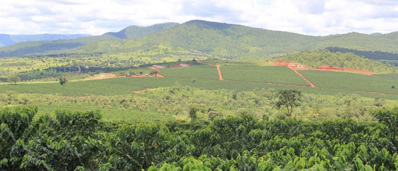 Zambia Anarobic Natural Misambo (1LB)