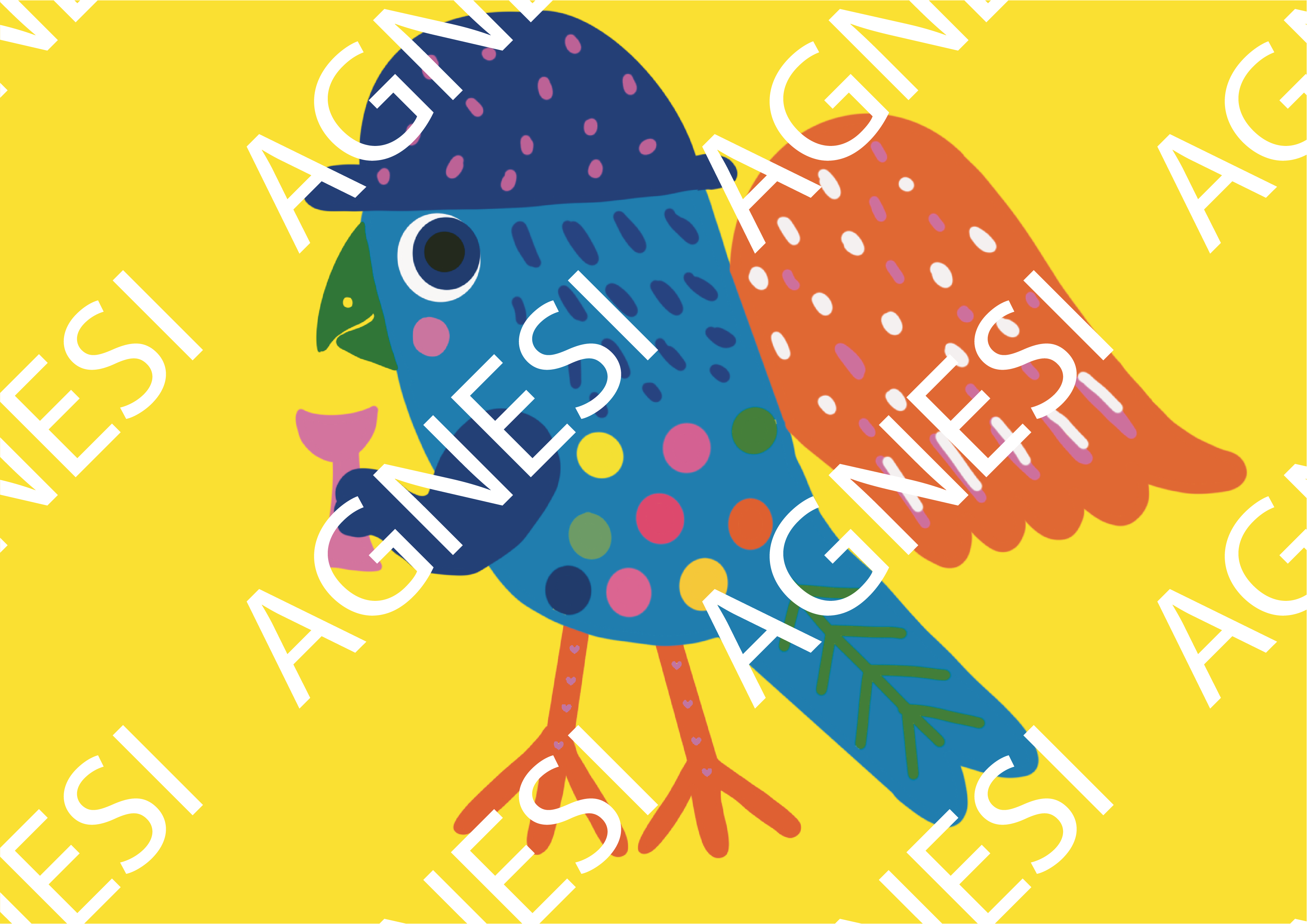 L'oiseau aux multiples couleurs