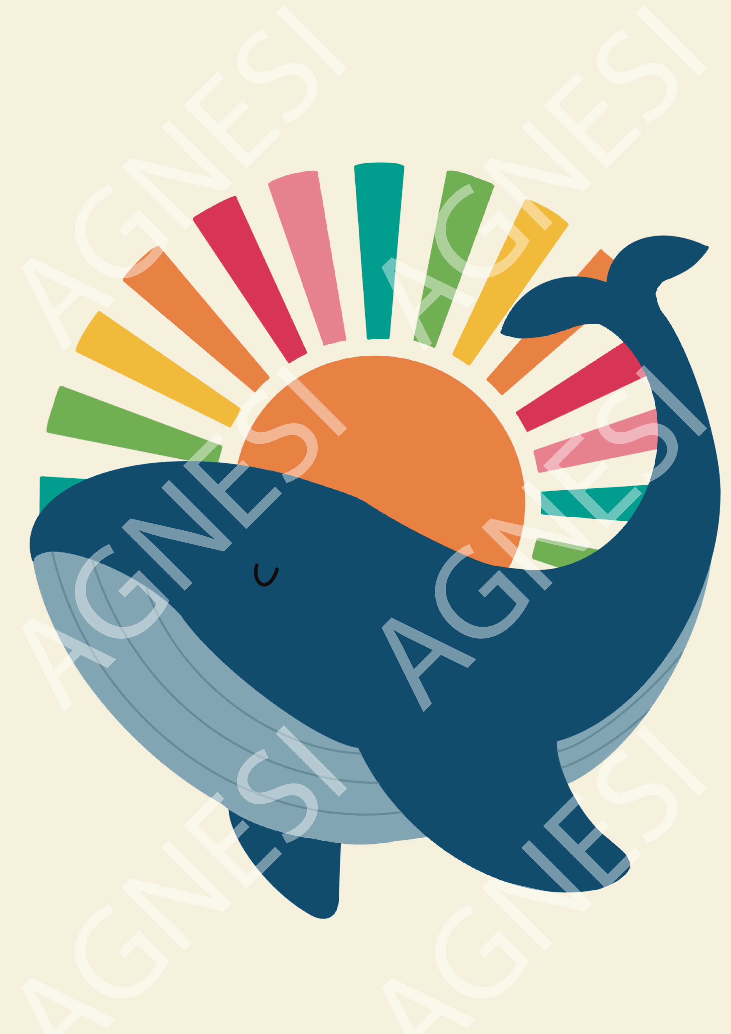 La baleine et son soleil