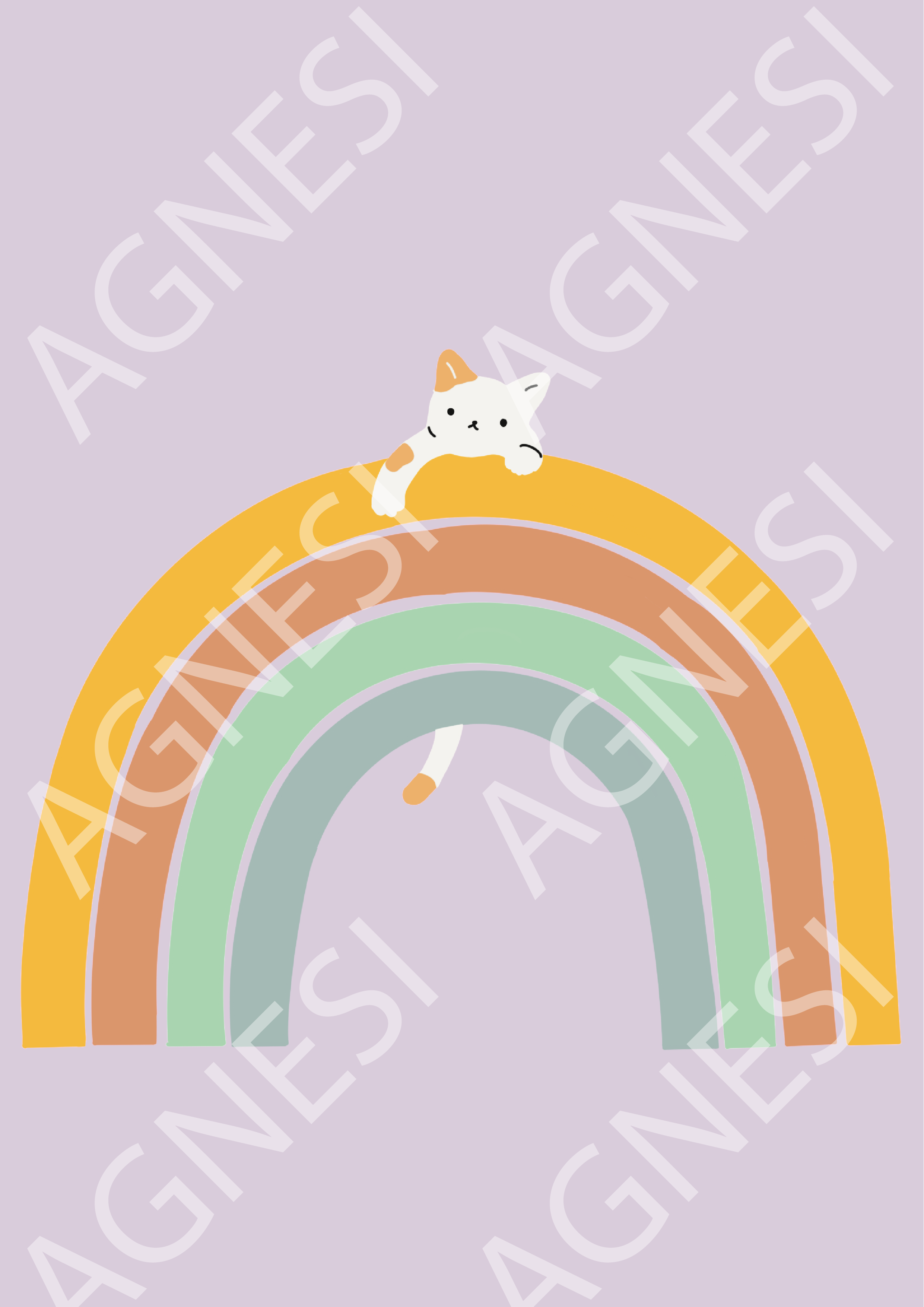 Le petit chat sur son arc en ciel