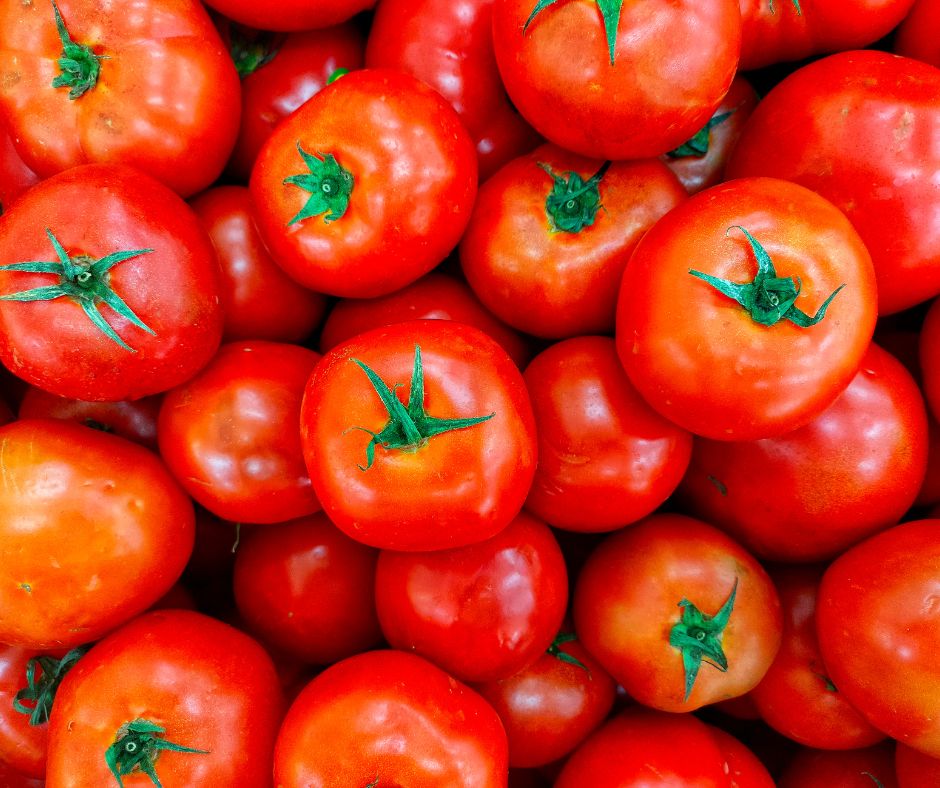 Over harvest Tomatoes