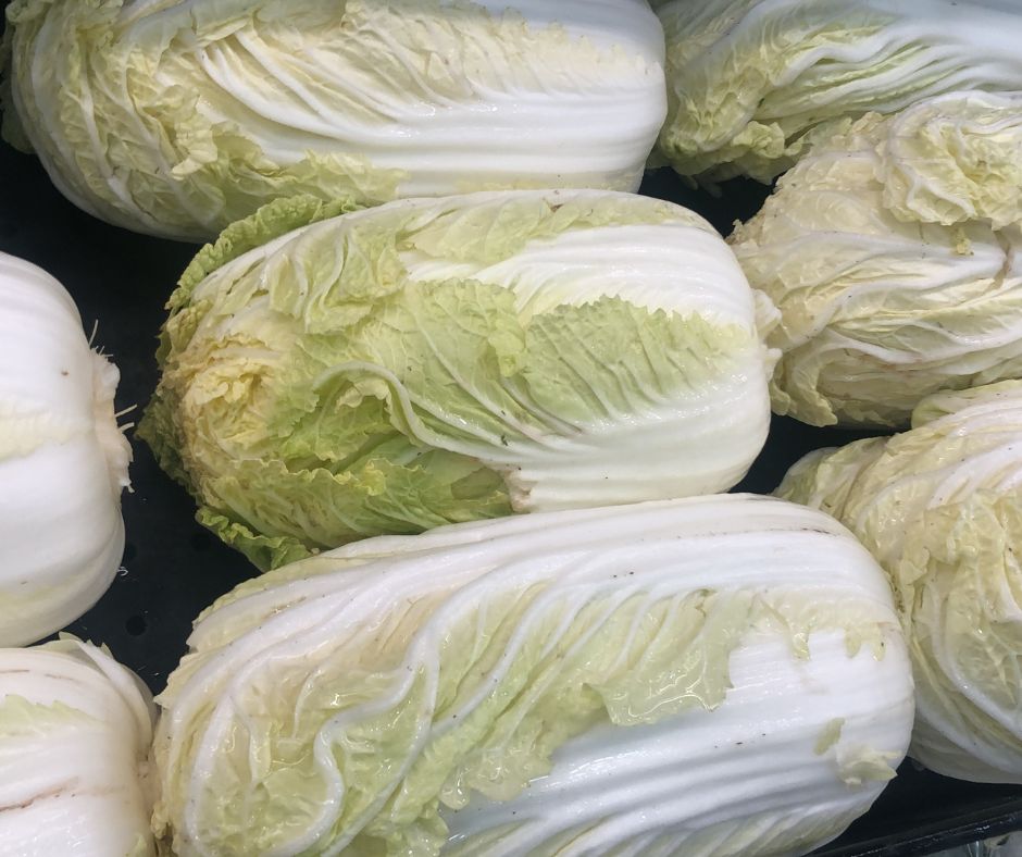 Lettuce