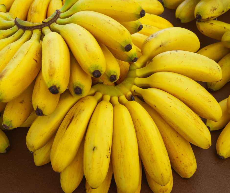 Ripped Bananas
