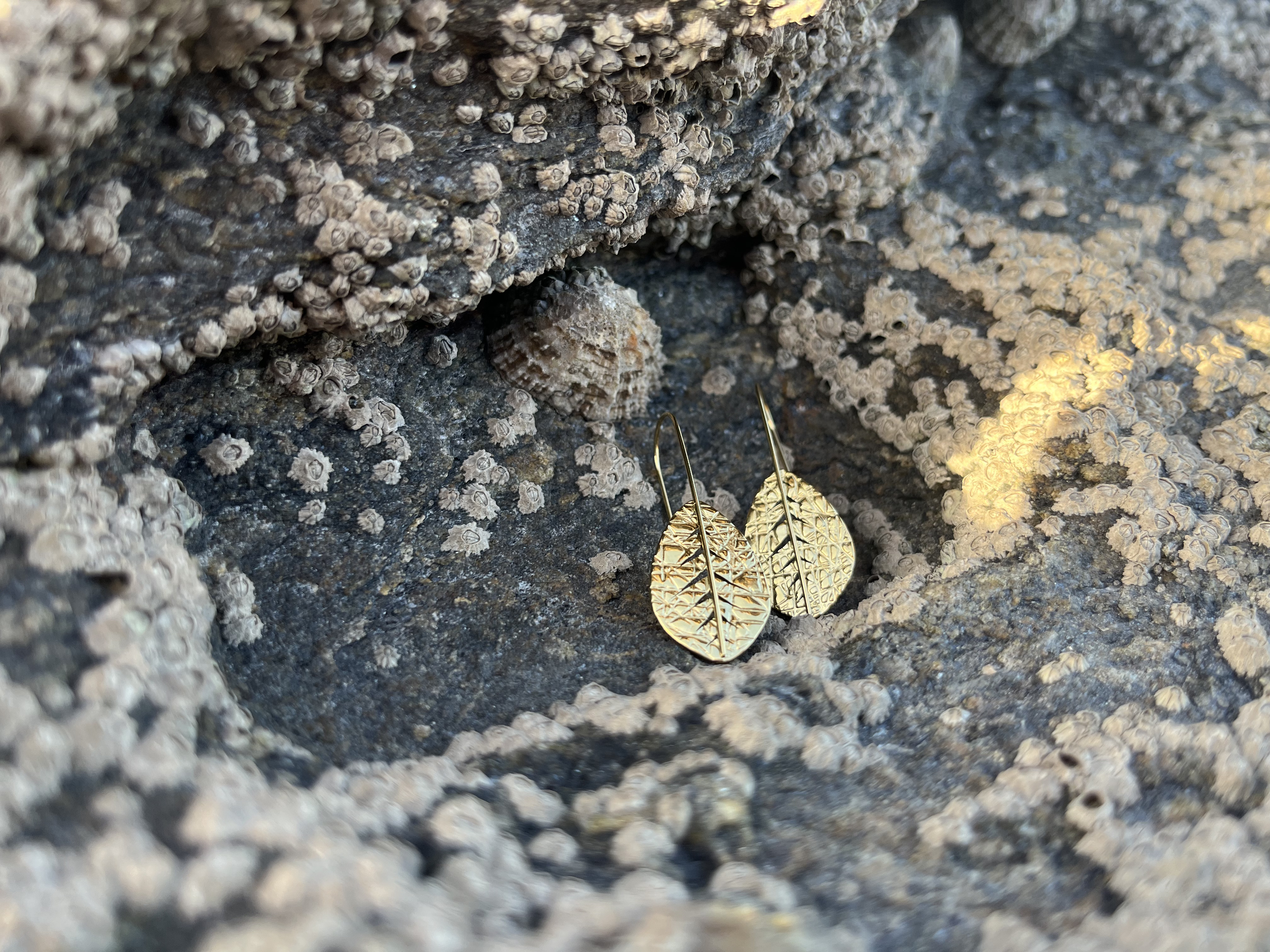 Boucles d'oreilles Nénuphar 