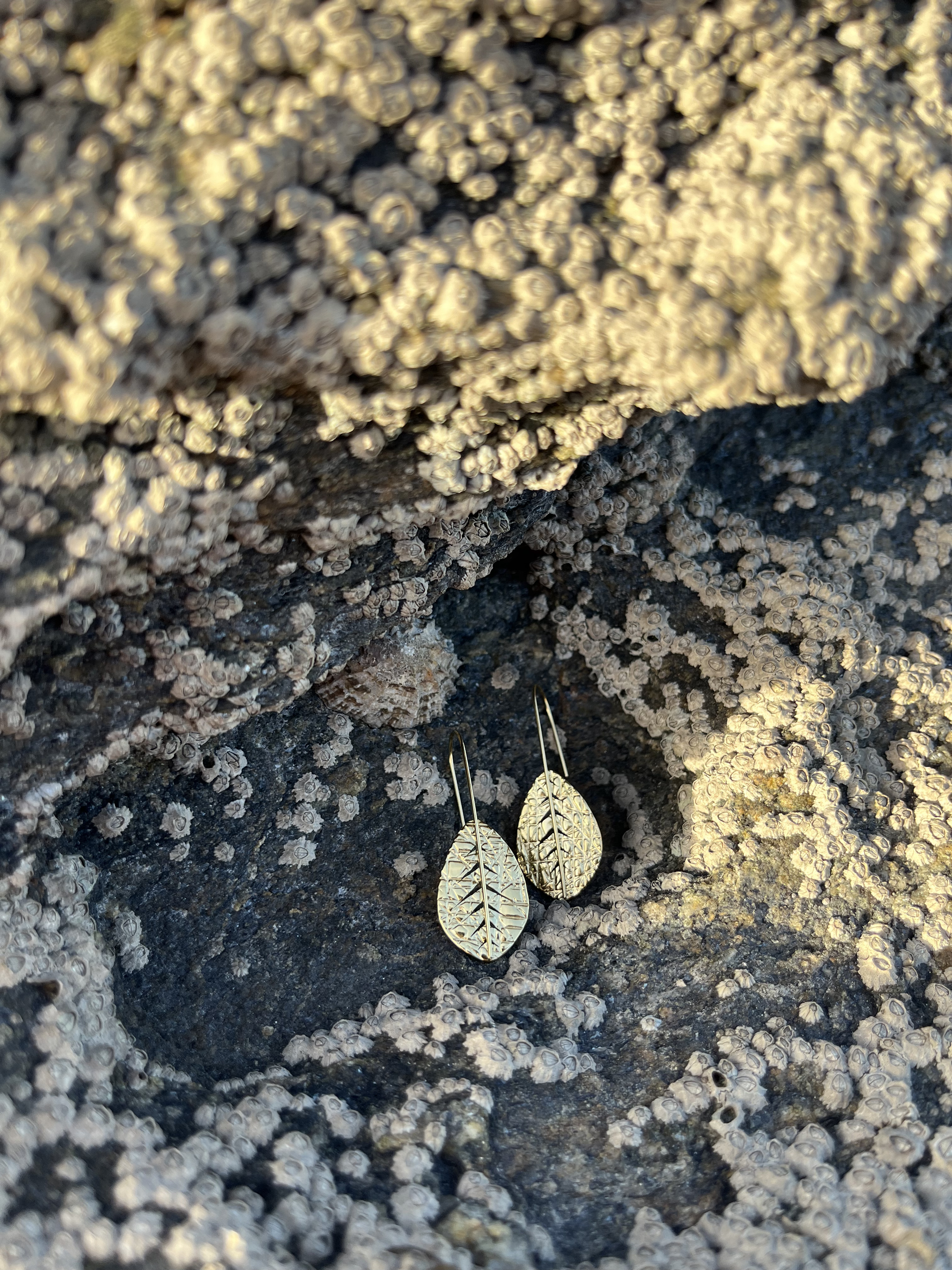 Boucles d'oreilles Nénuphar 