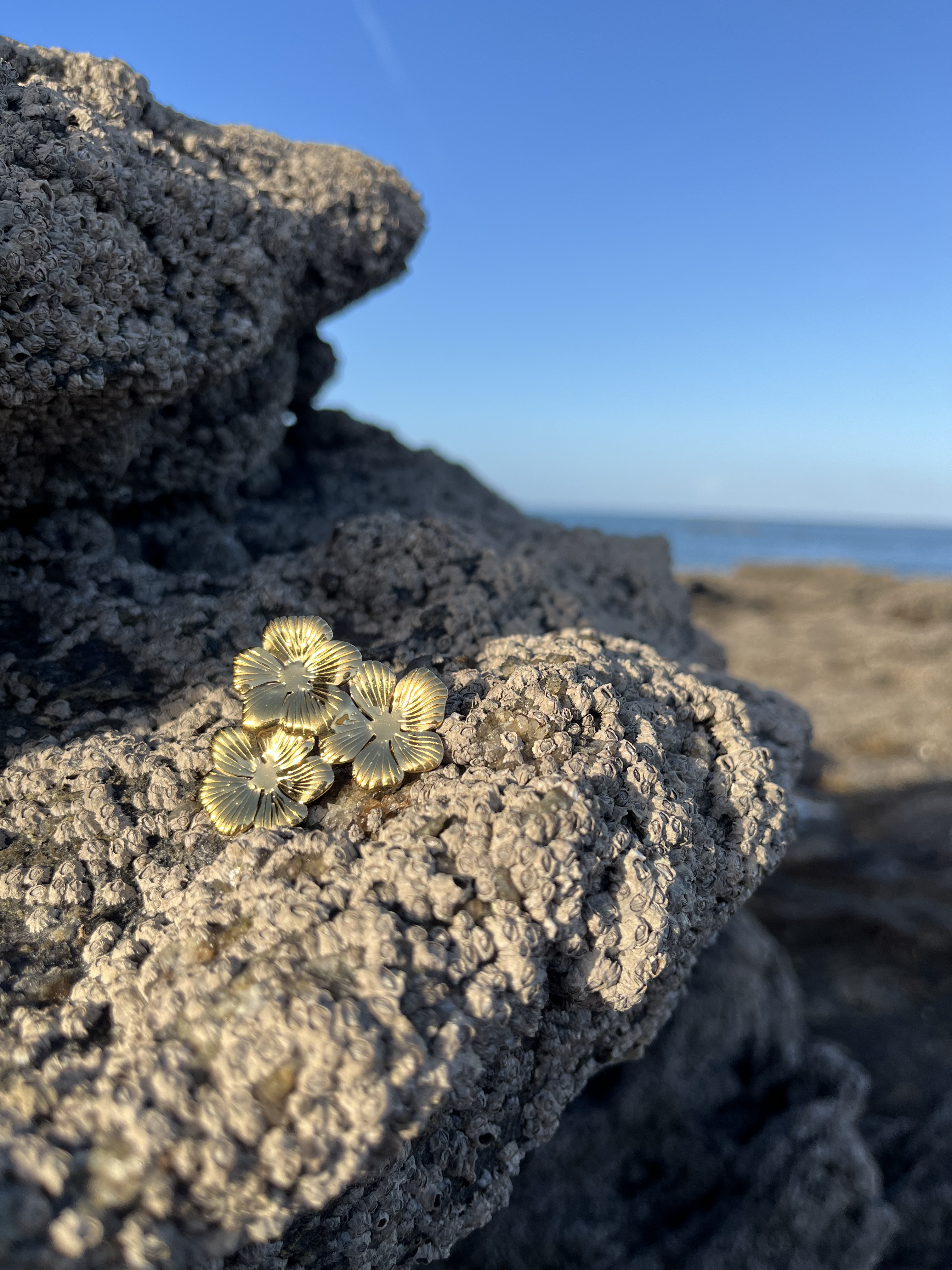 Broche Champêtre dorée