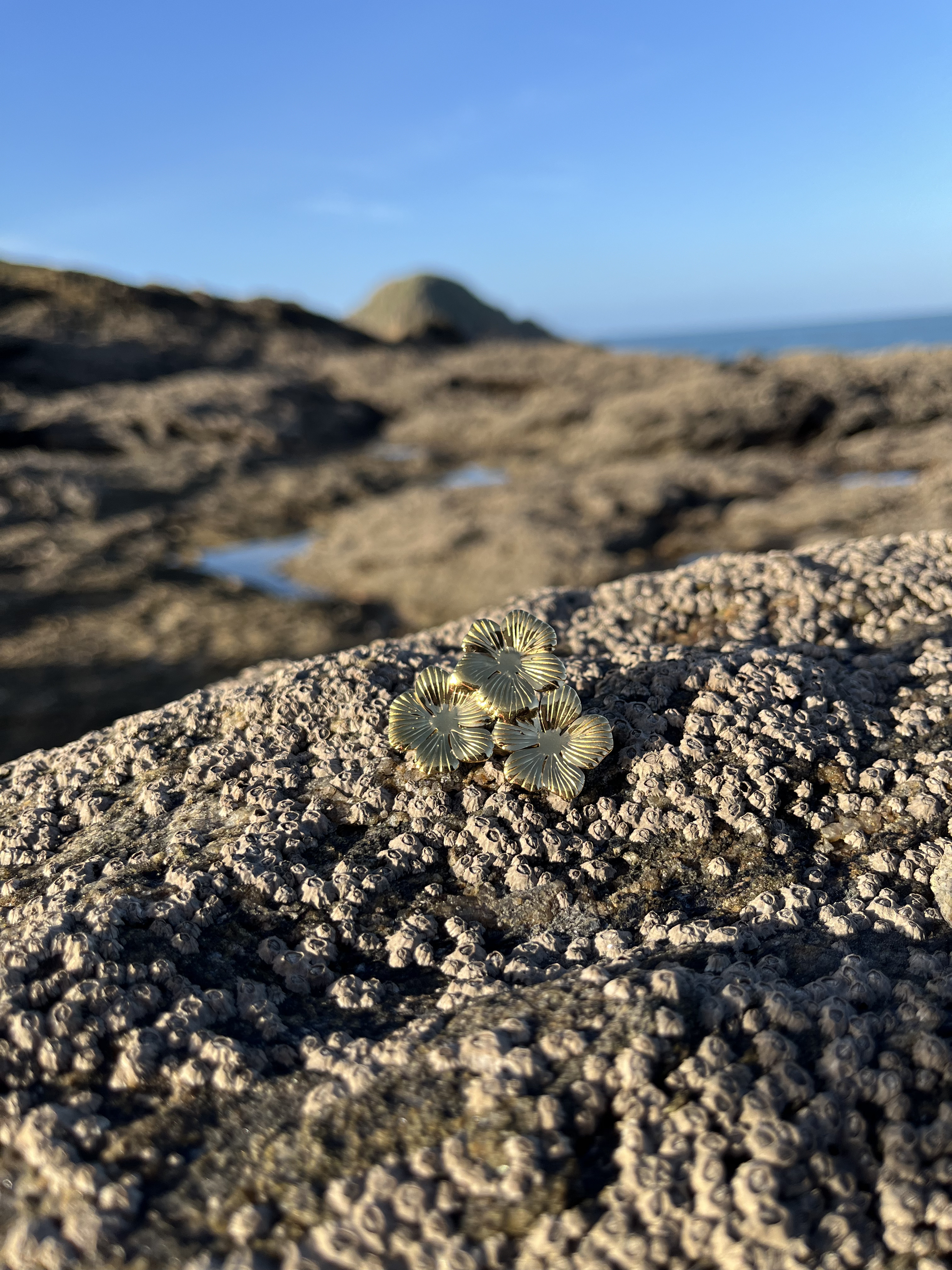 Broche Champêtre dorée