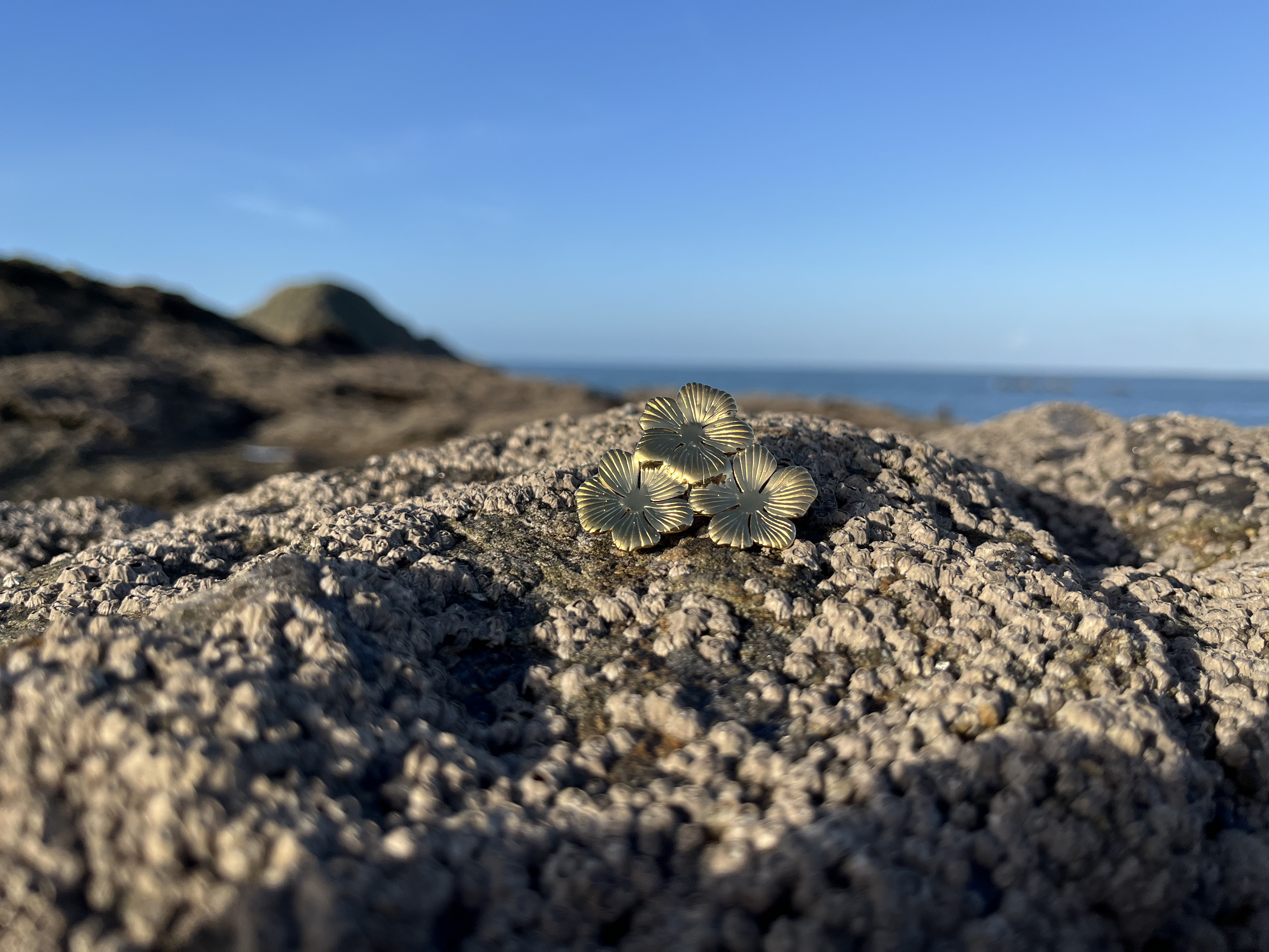 Broche Champêtre dorée
