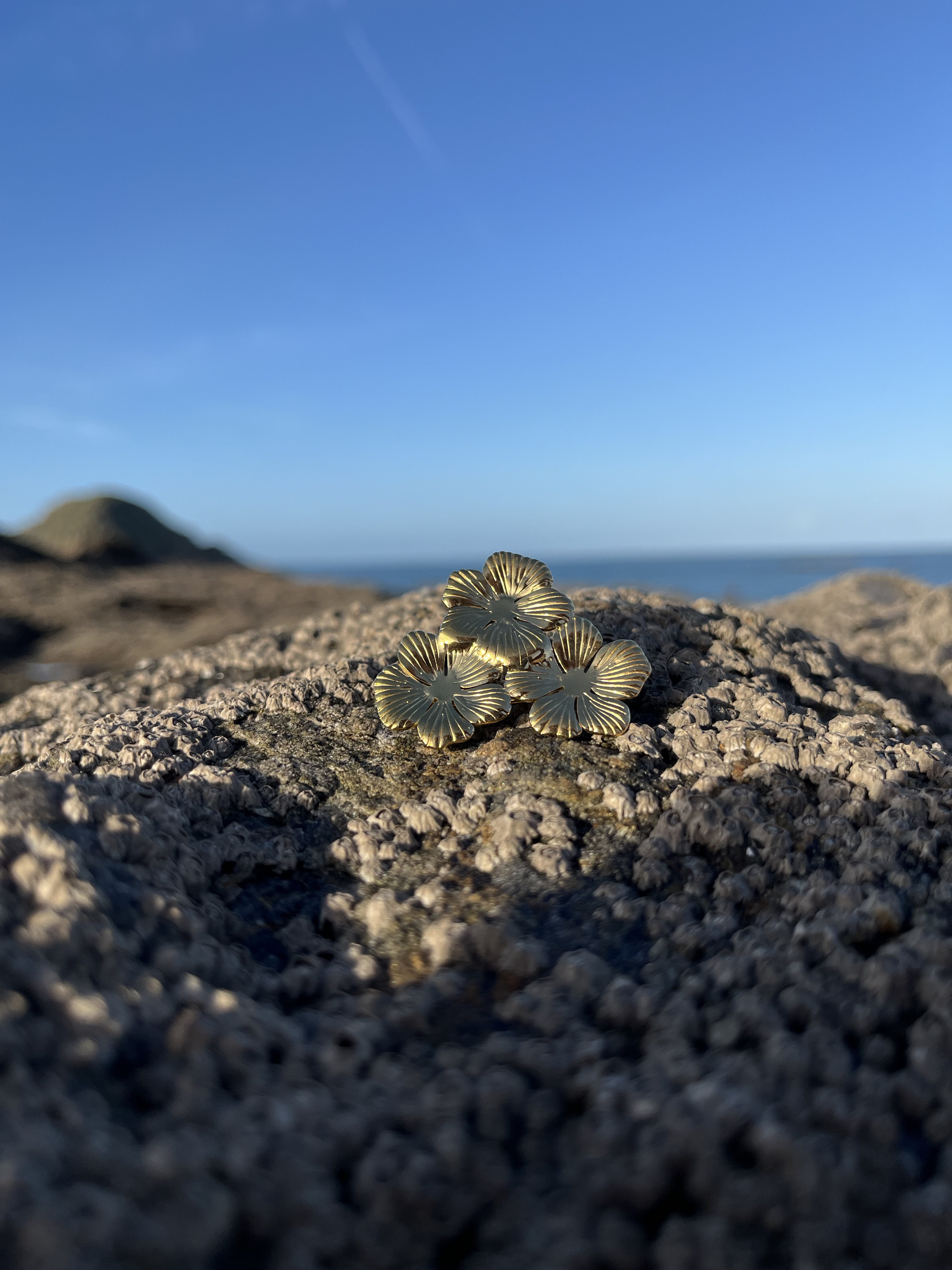 Broche Champêtre dorée