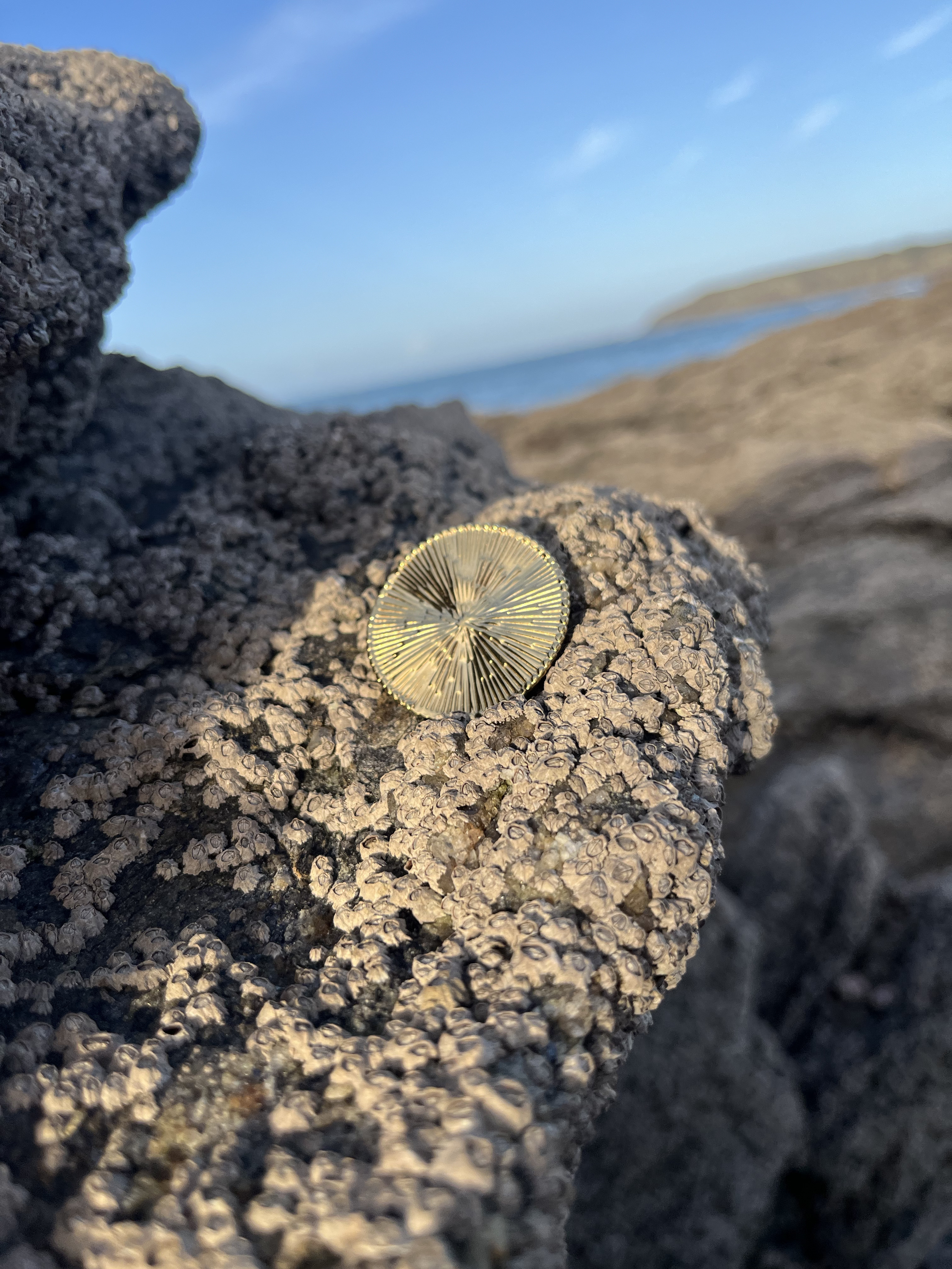 Broche Hélios dorée