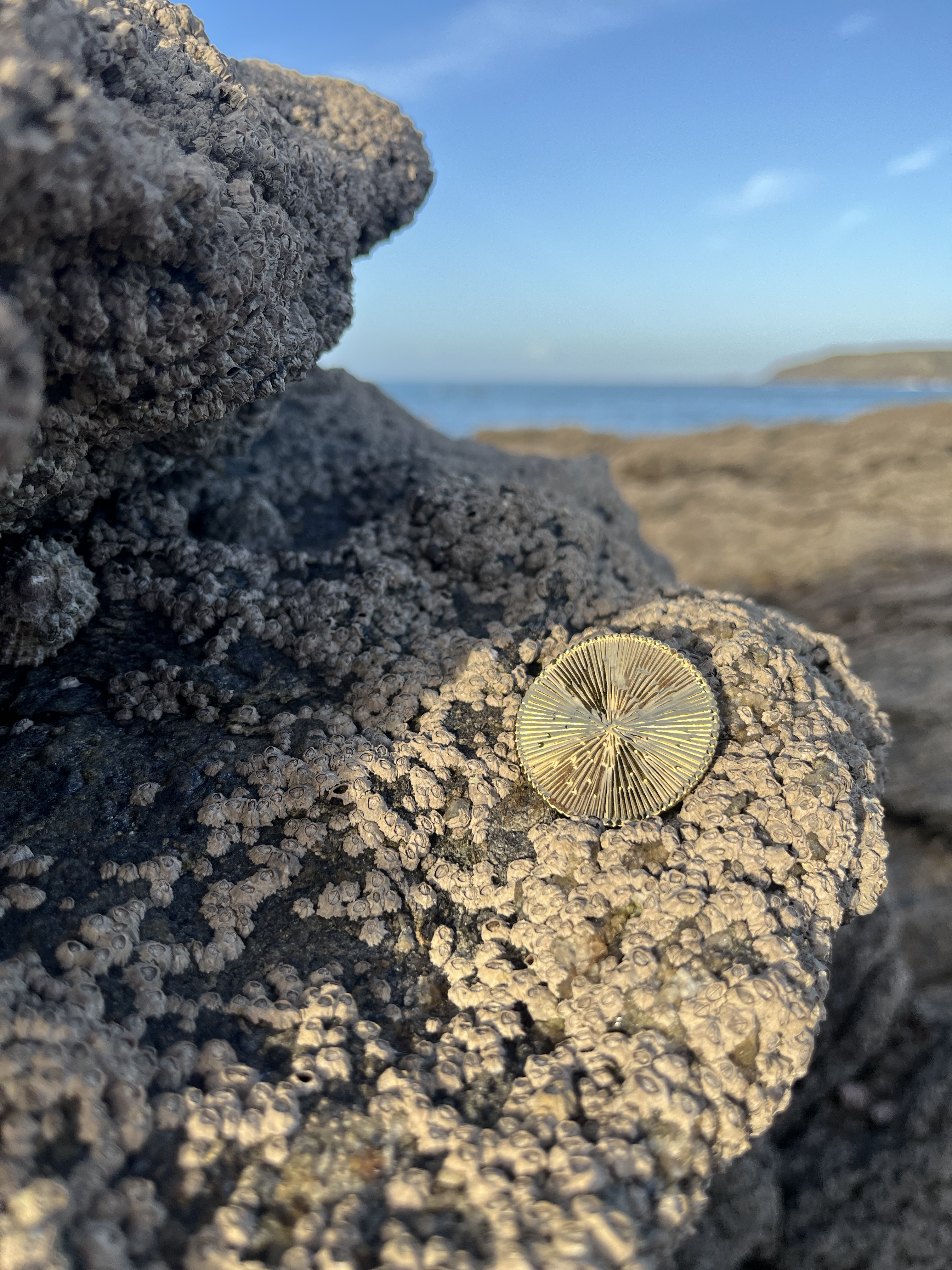 Broche Hélios dorée