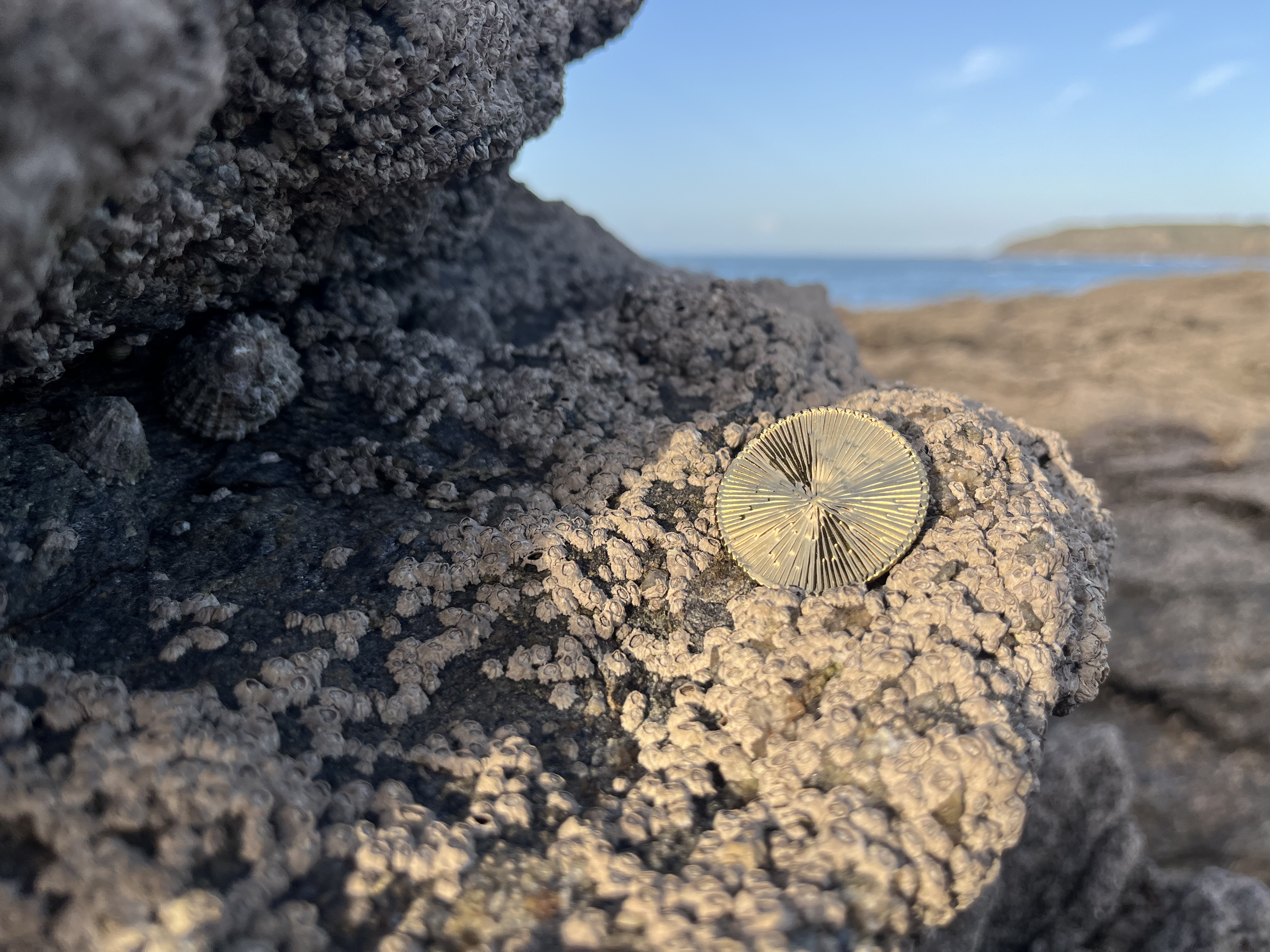 Broche Hélios dorée