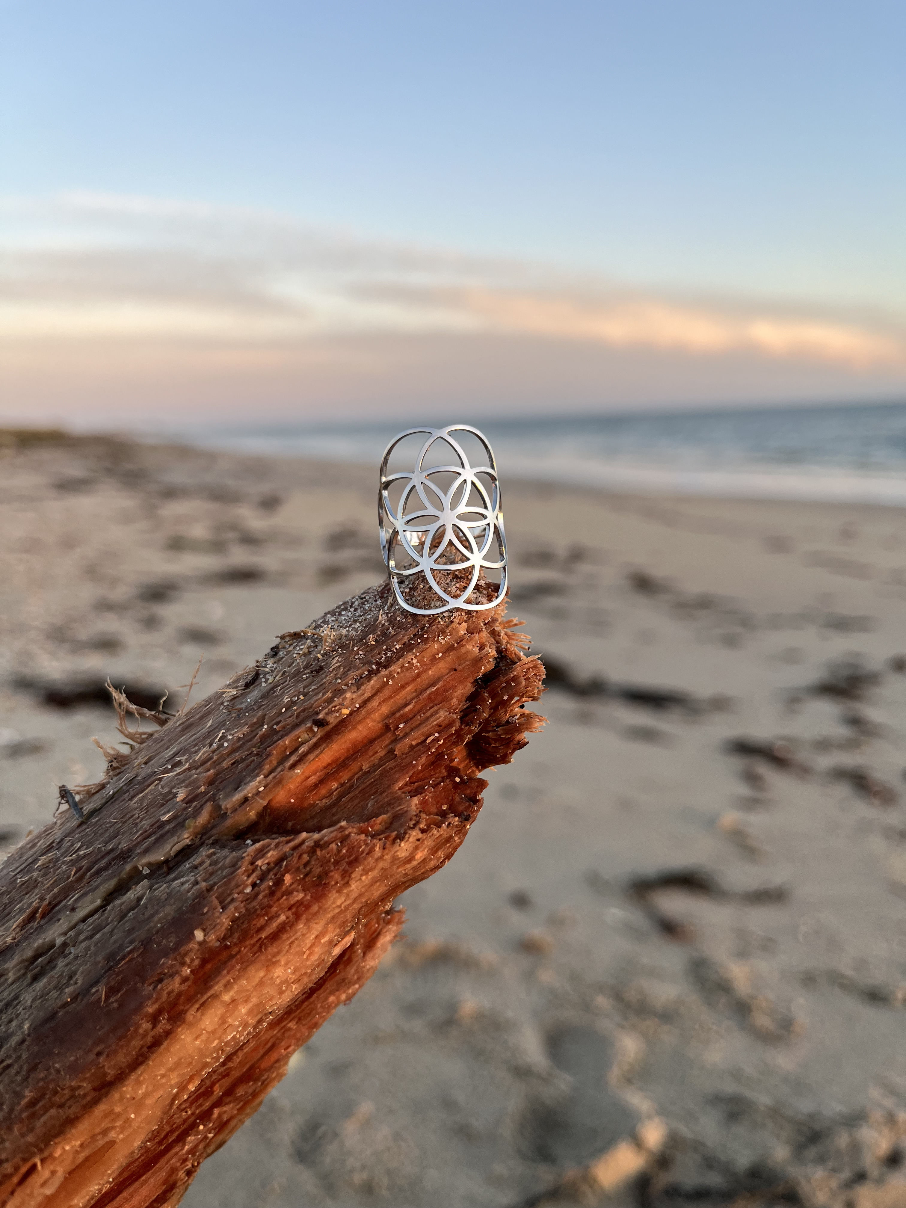 Bague Origine argentée