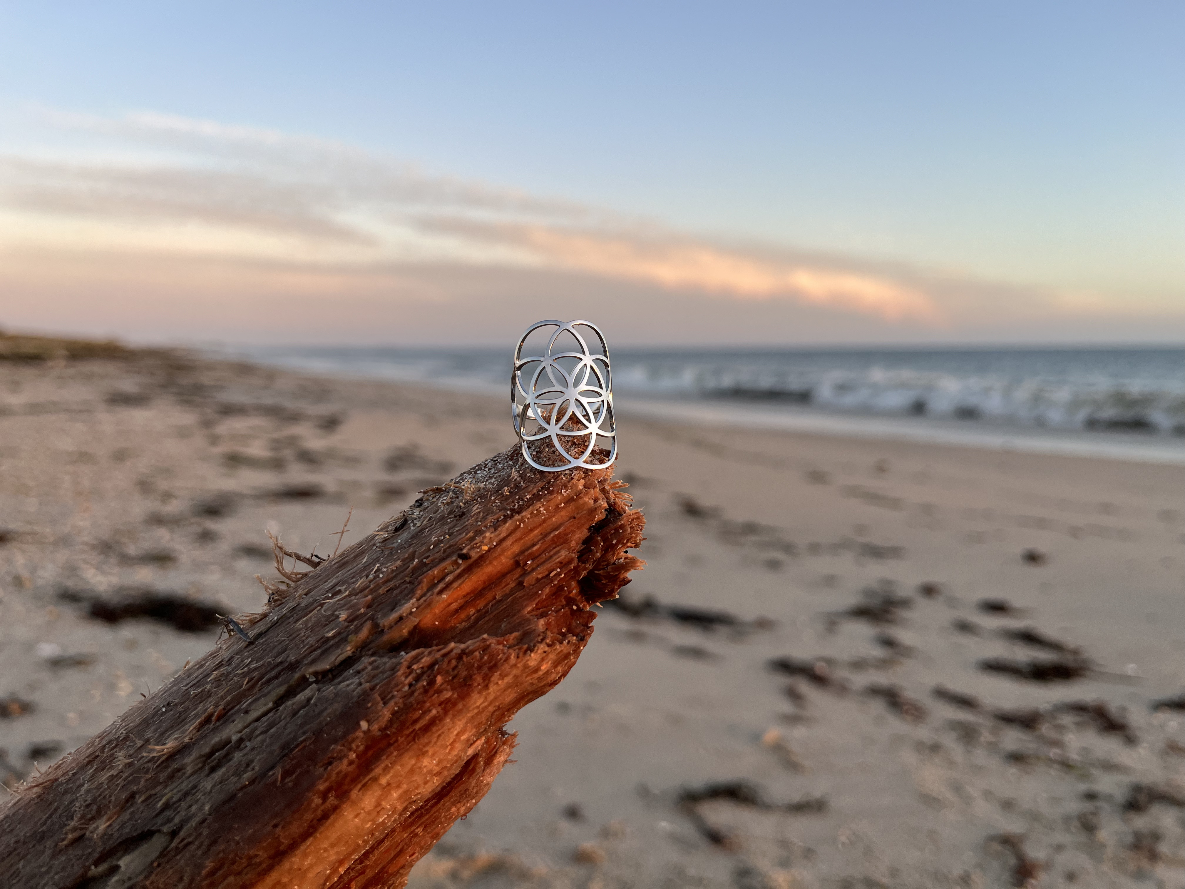 Bague Origine argentée