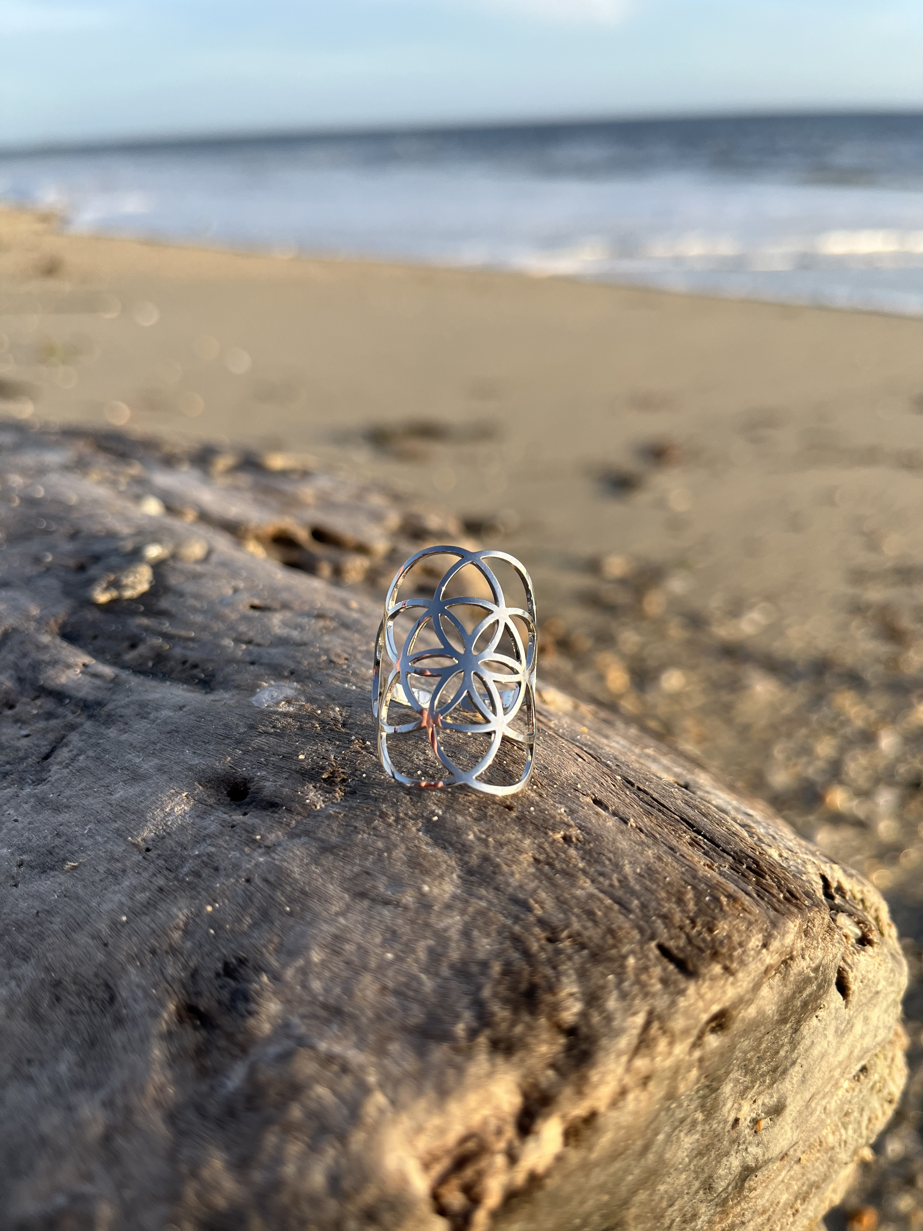 Bague Origine argentée