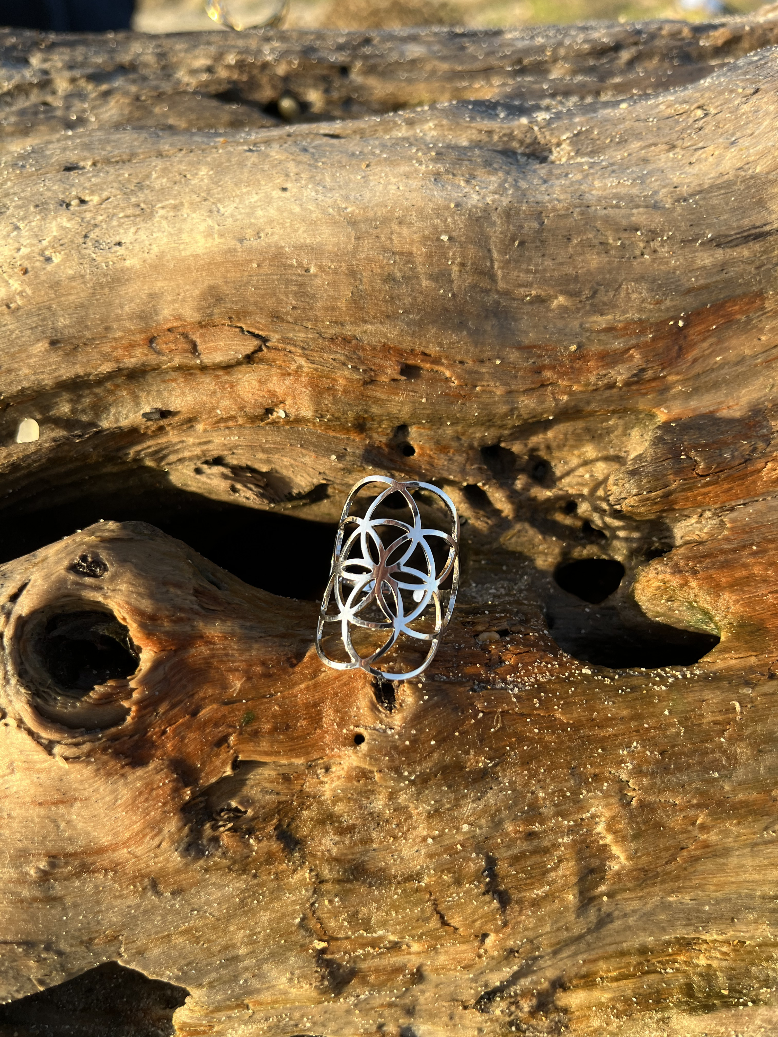 Bague Origine argentée