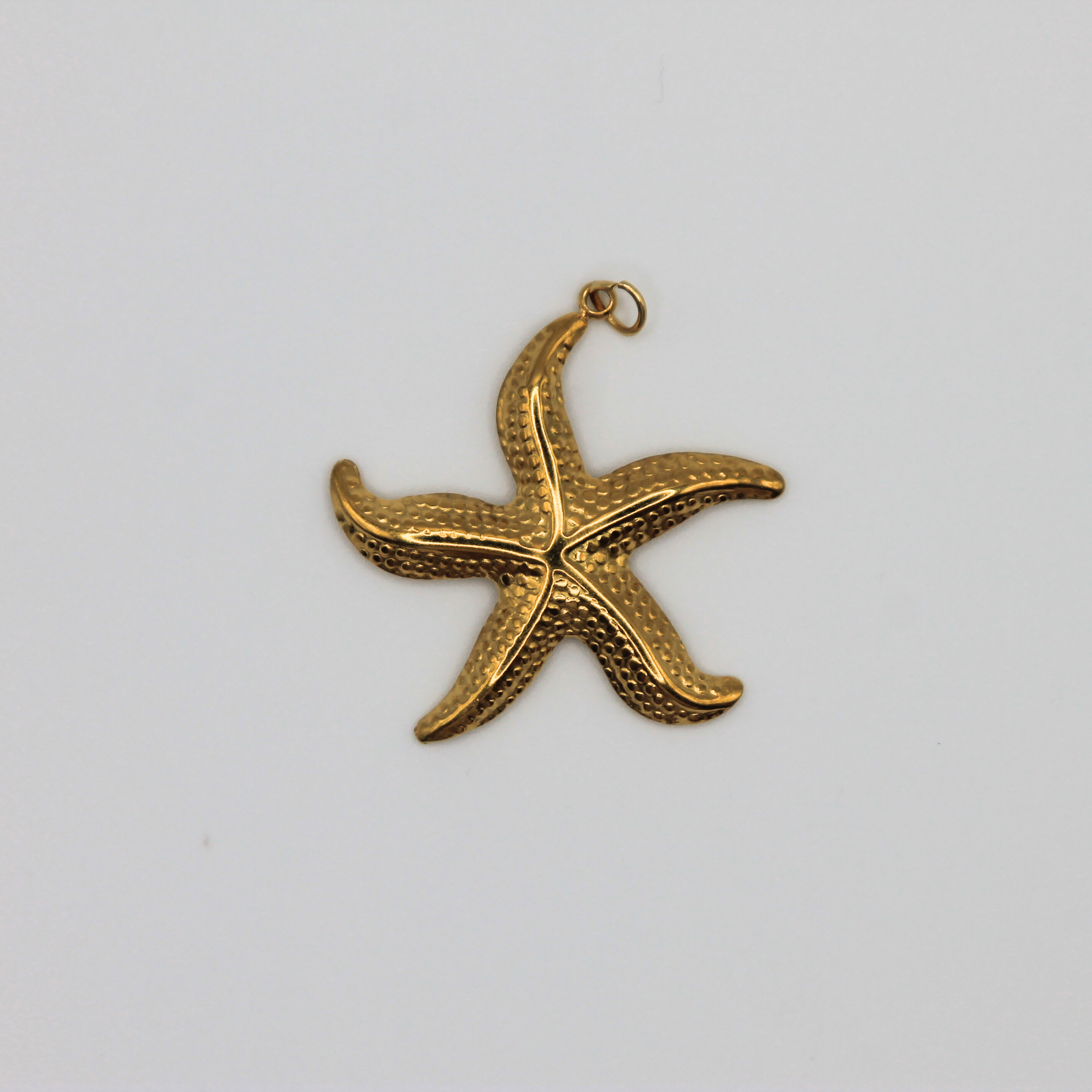 Pendentif étoile de mer