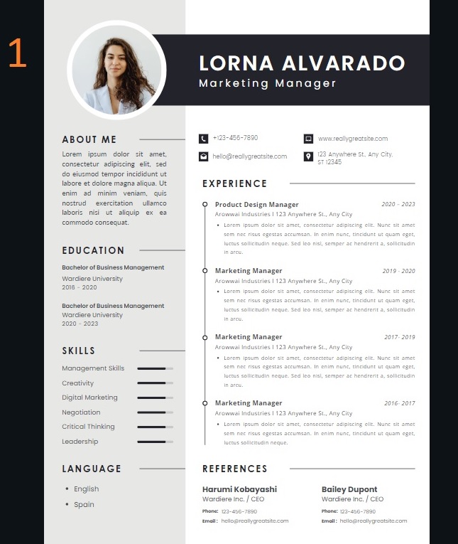 Resume Curriculum vitae CV Designs