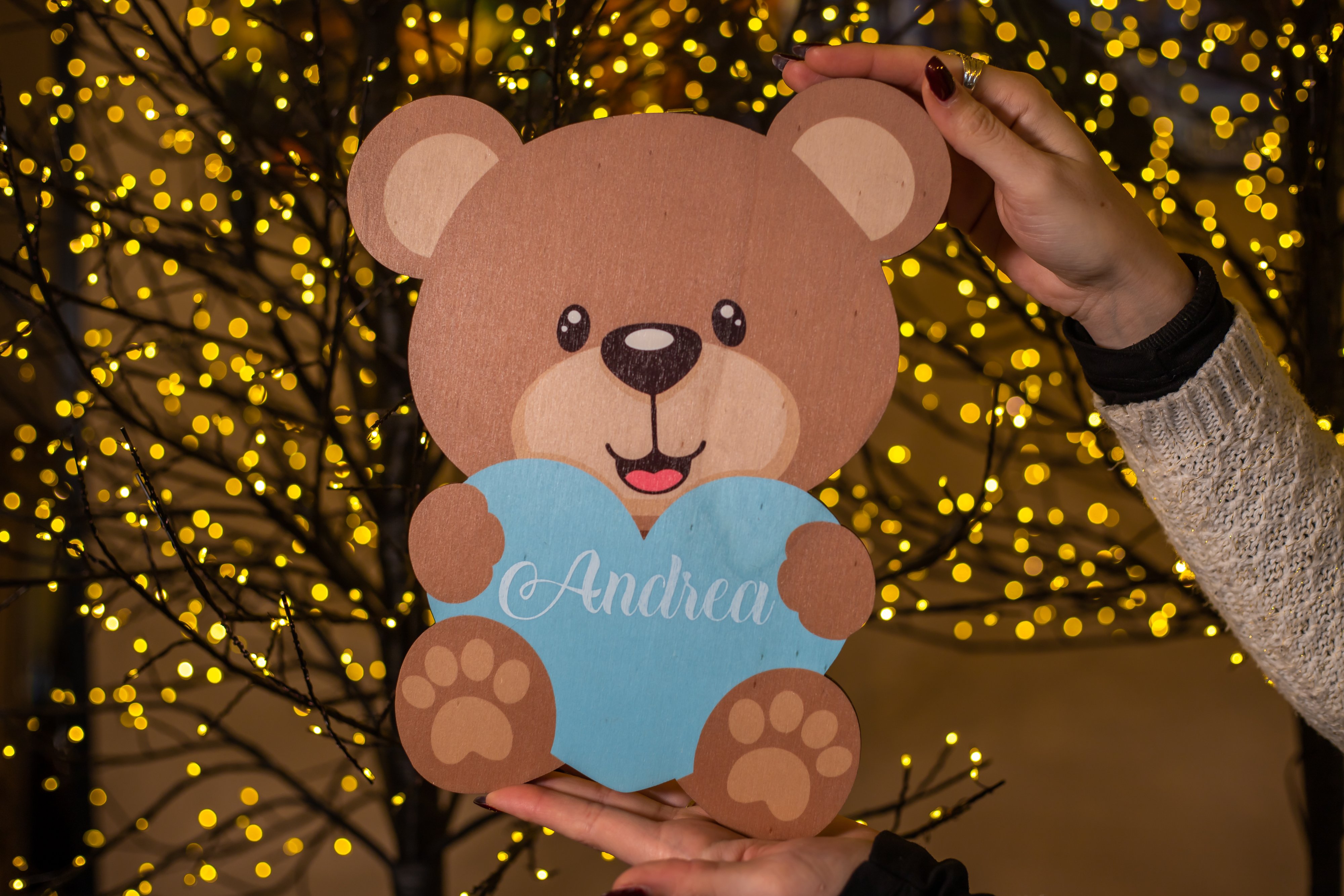 dietroporta tema teddy
