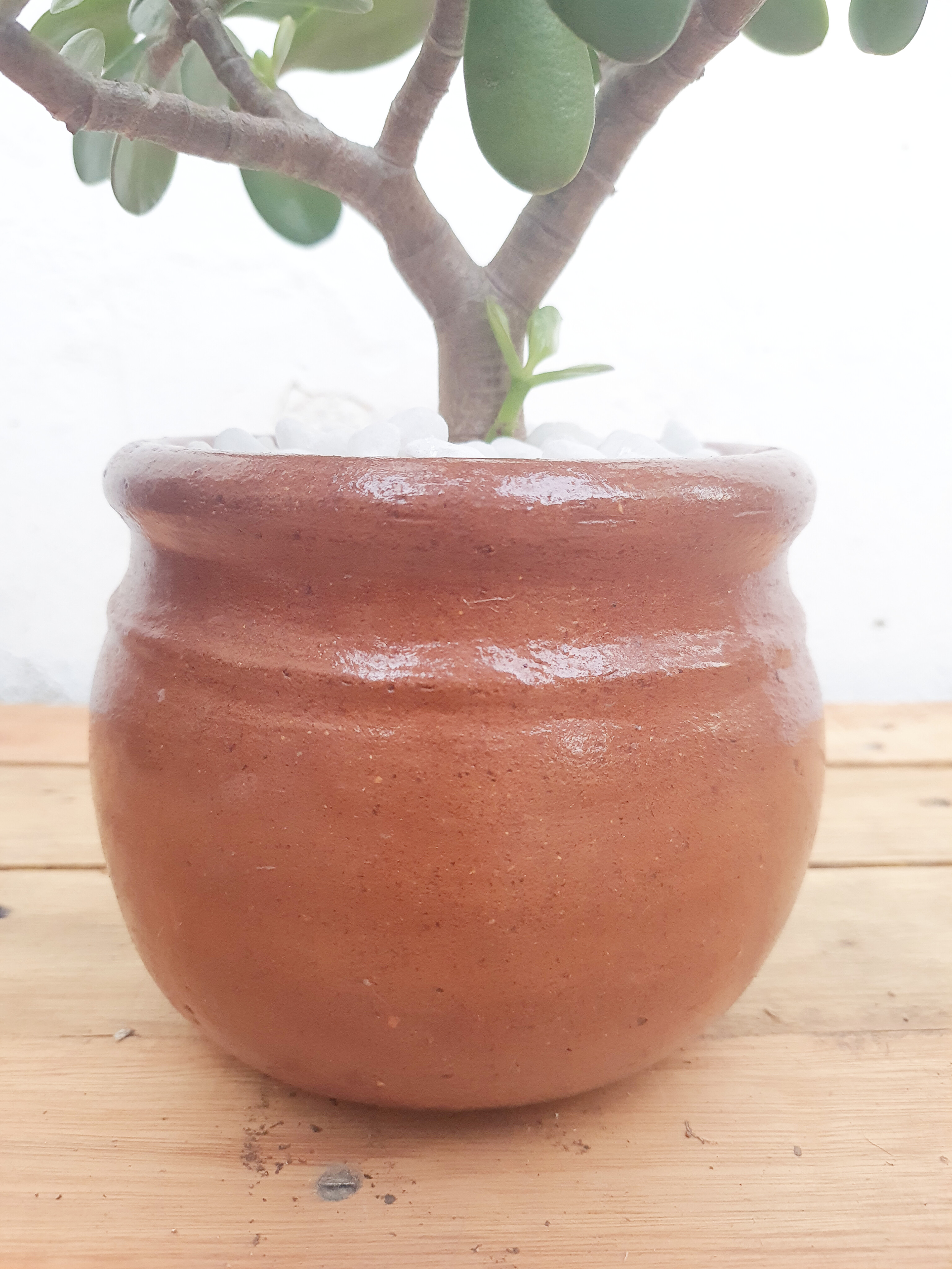 Jade no vaso de barro