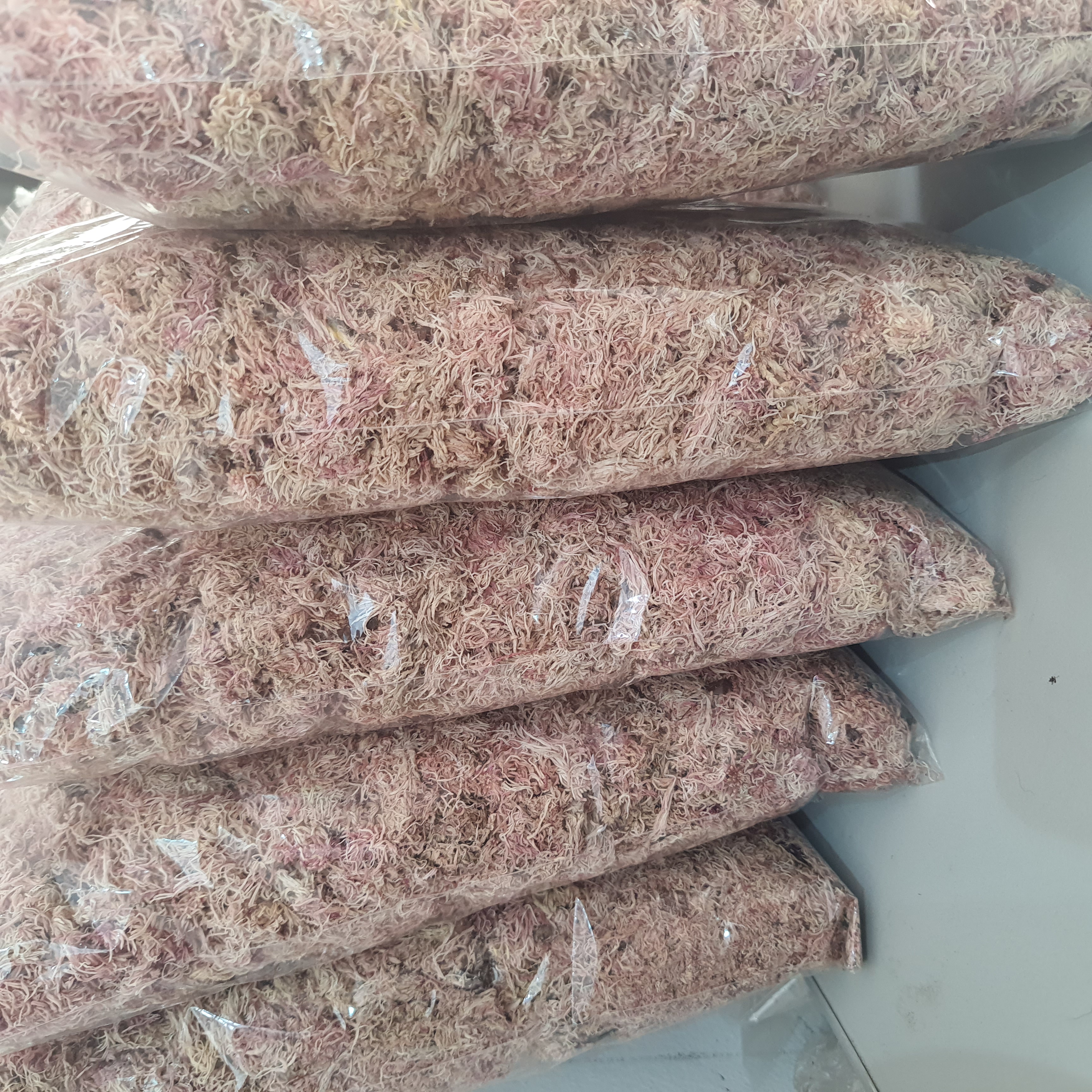 Musgo Sphagnum (Rosa)