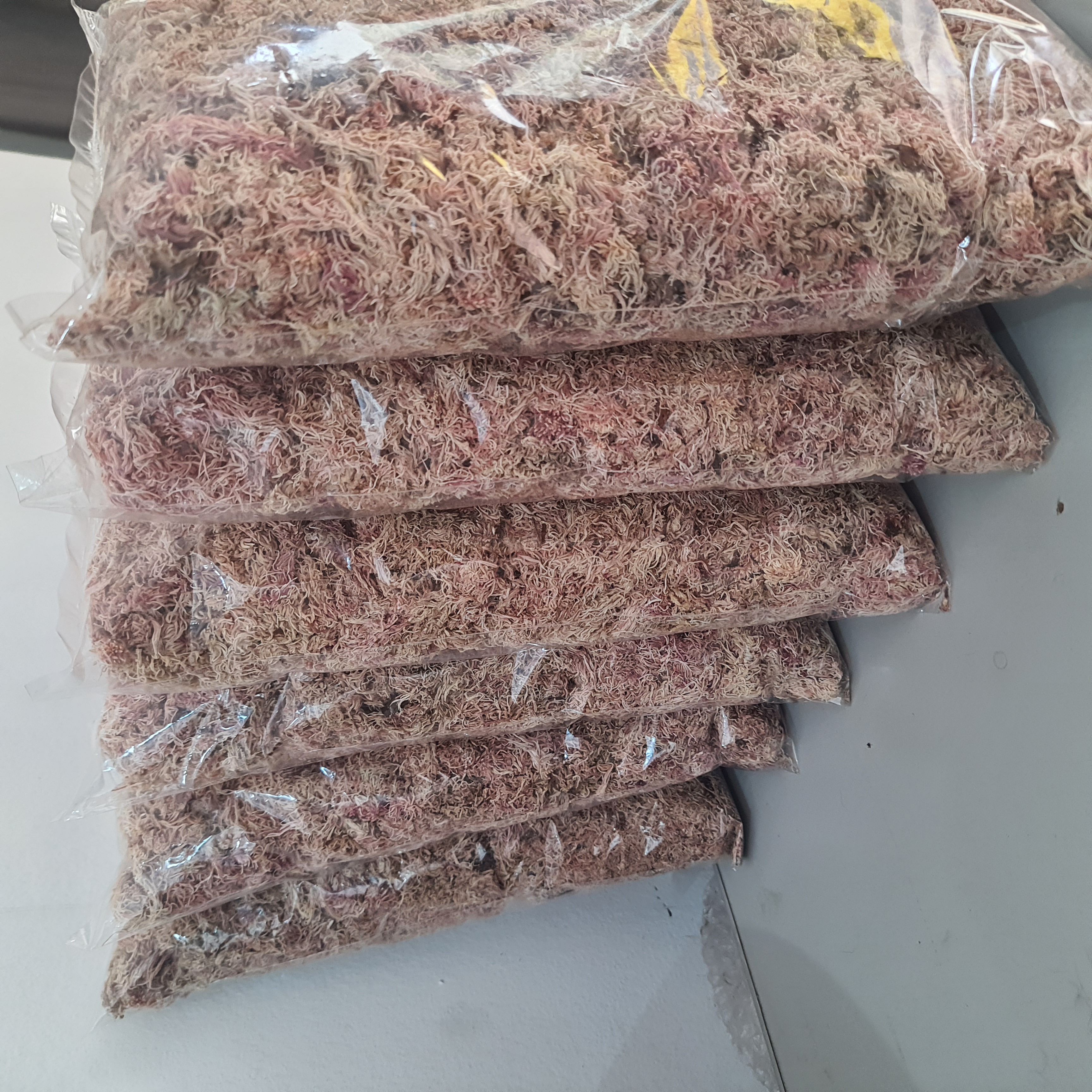 Musgo Sphagnum (Rosa)
