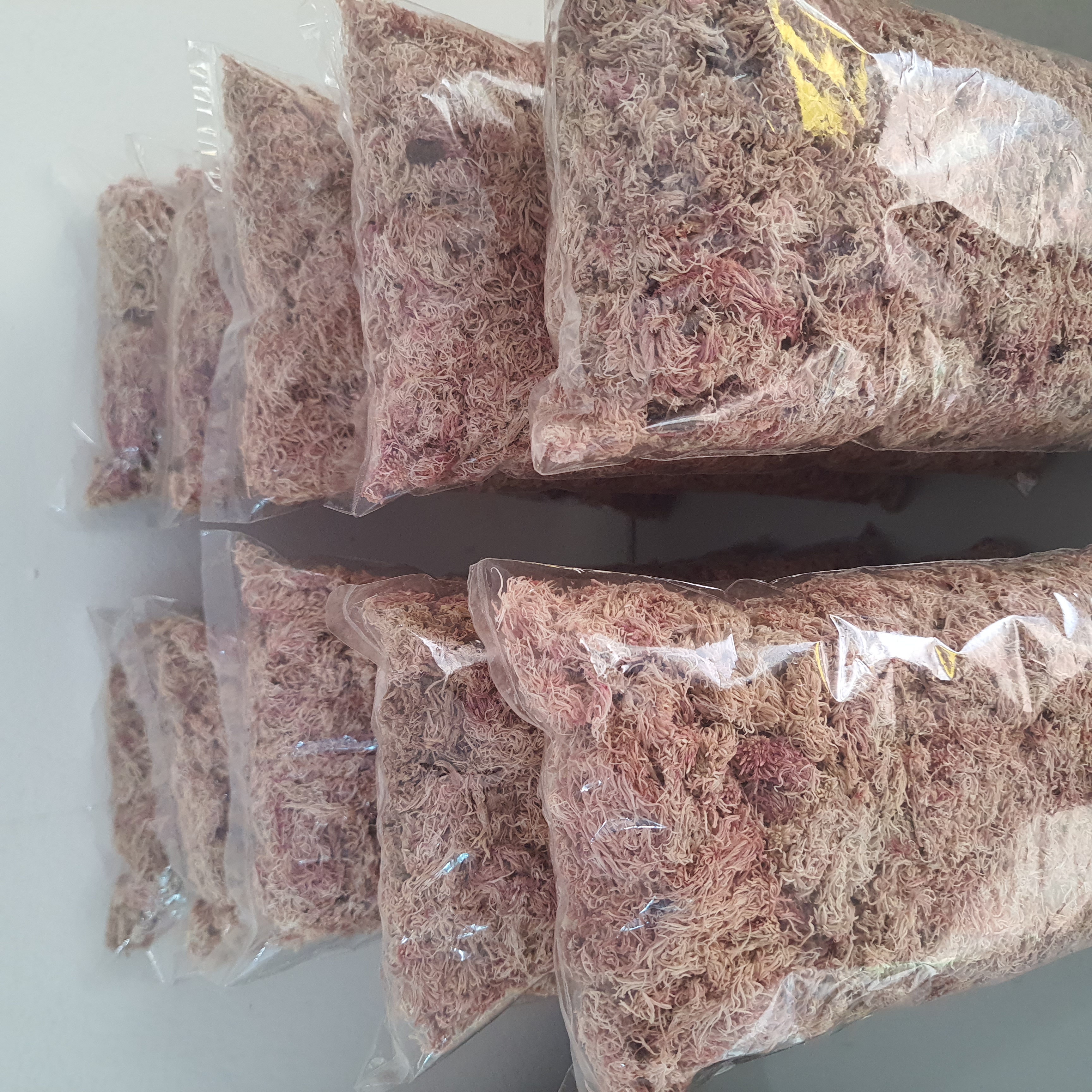 Musgo Sphagnum (Rosa)