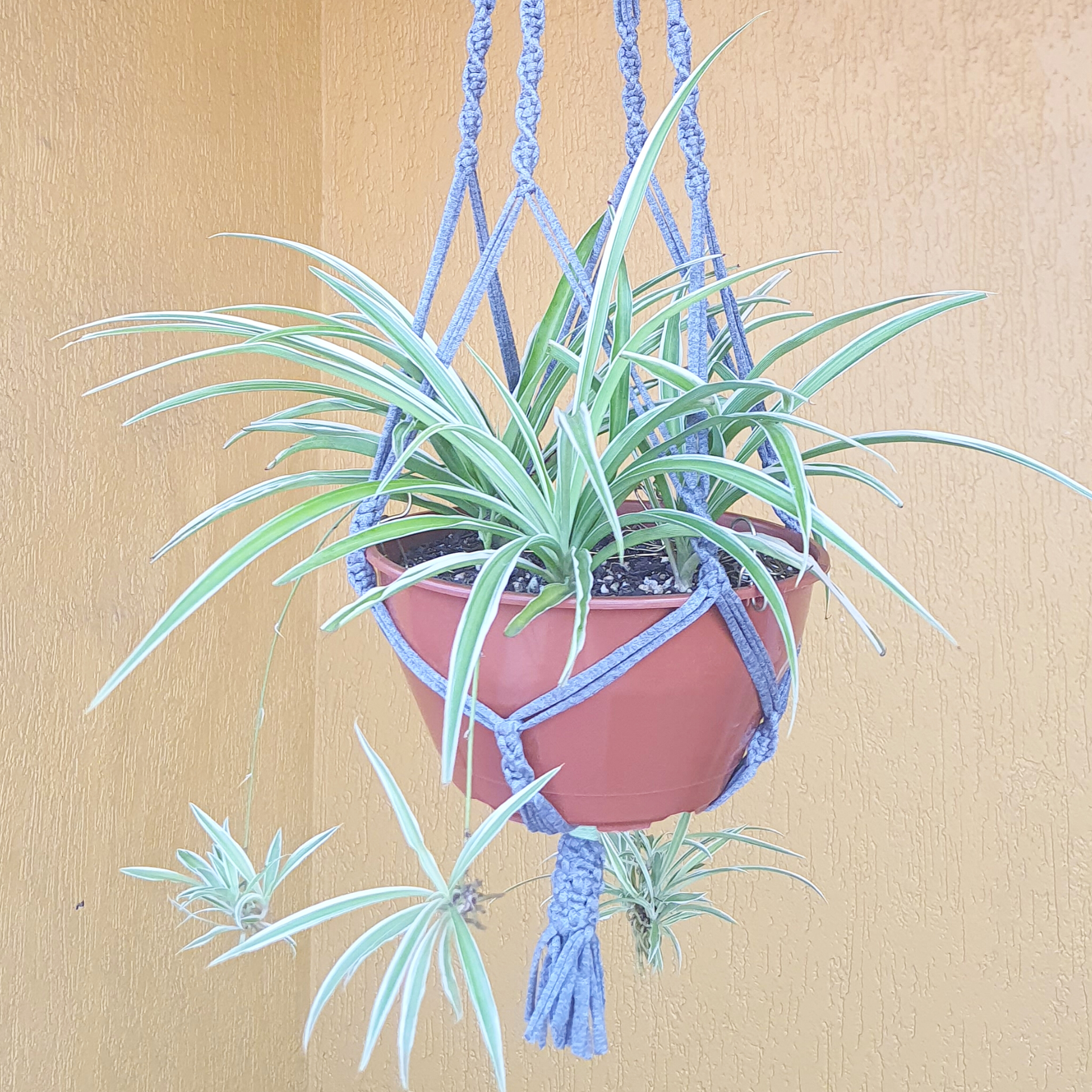 Suporte para Vasos de Plantas em Macramê