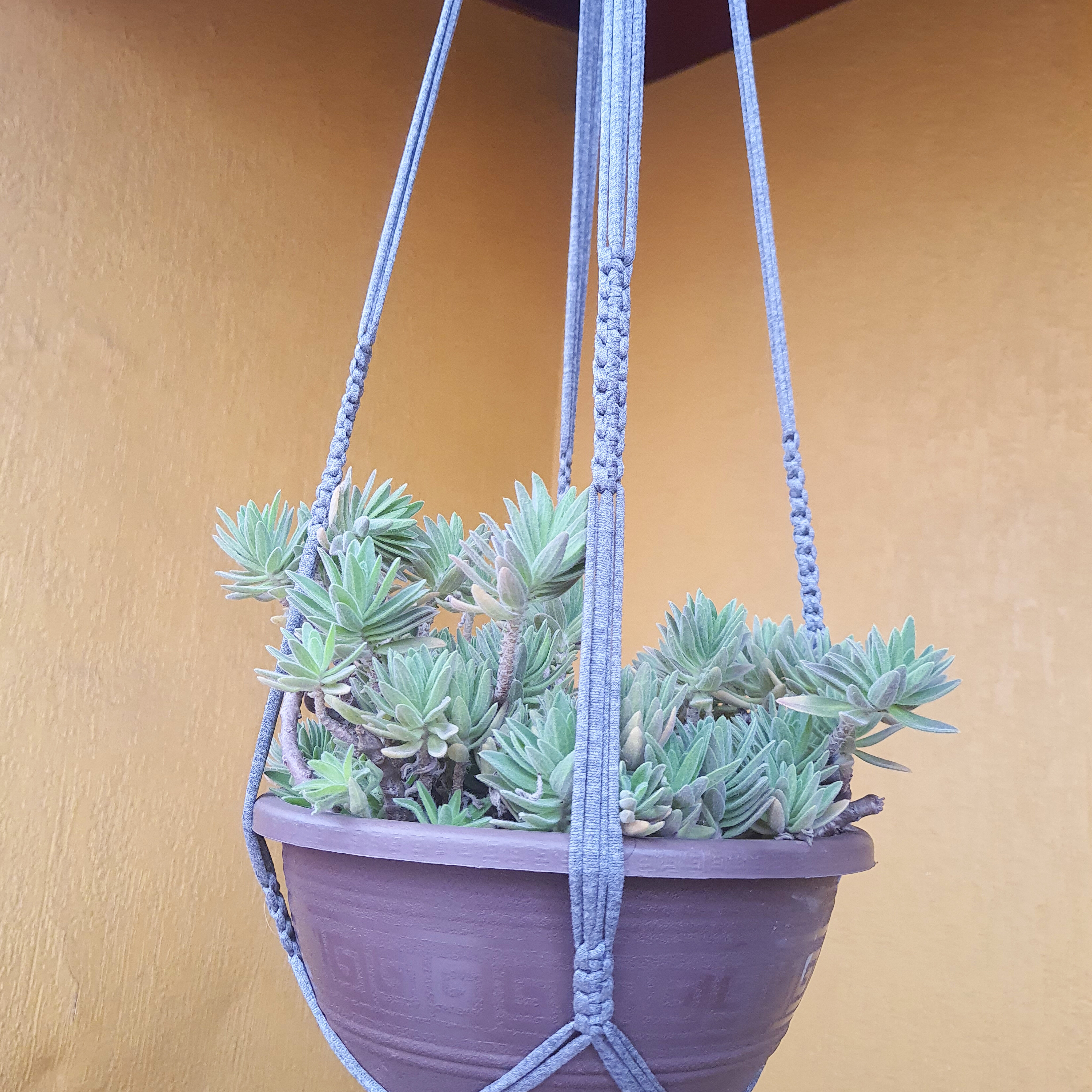 Suporte para Vasos de Plantas em Macramê