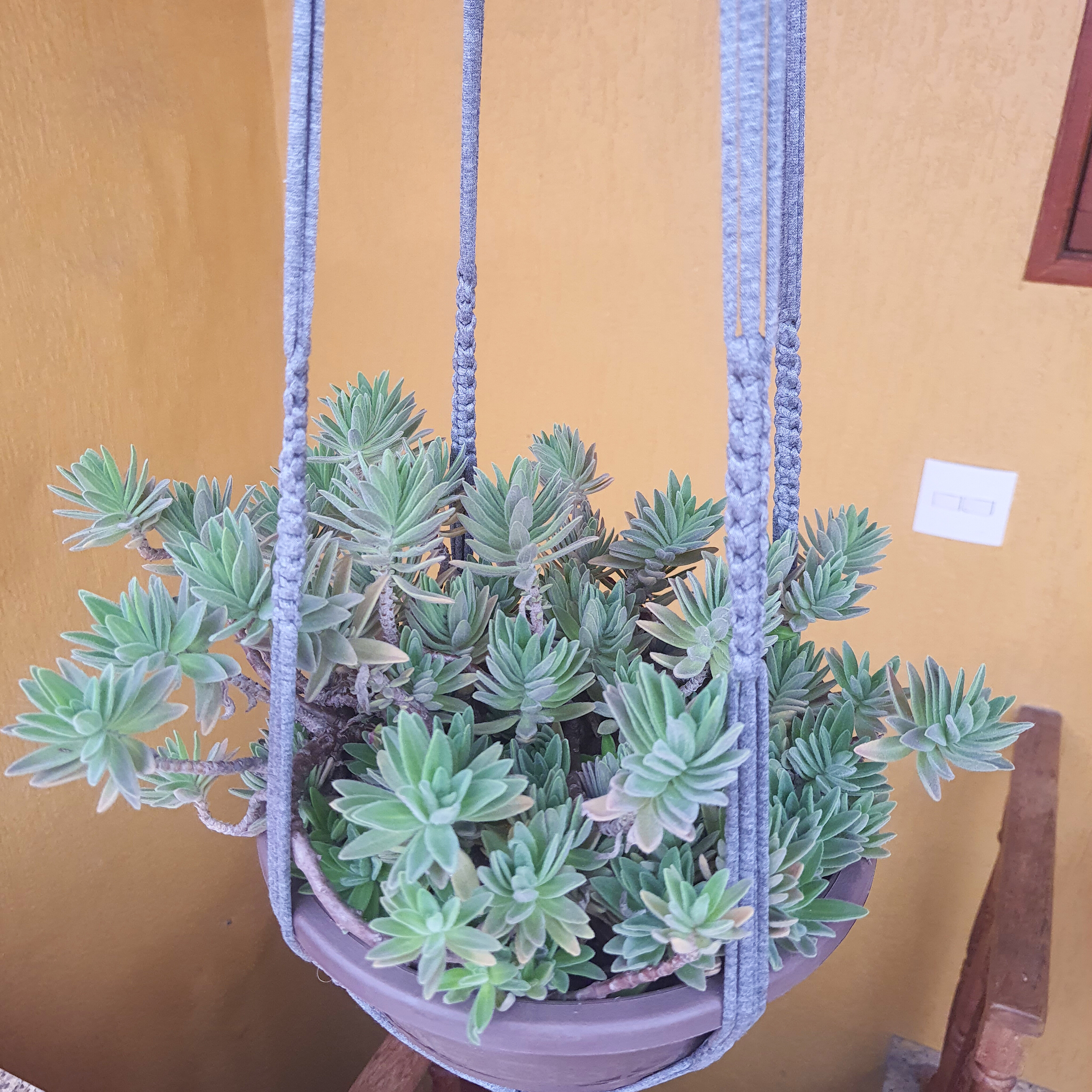 Suporte para Vasos de Plantas em Macramê