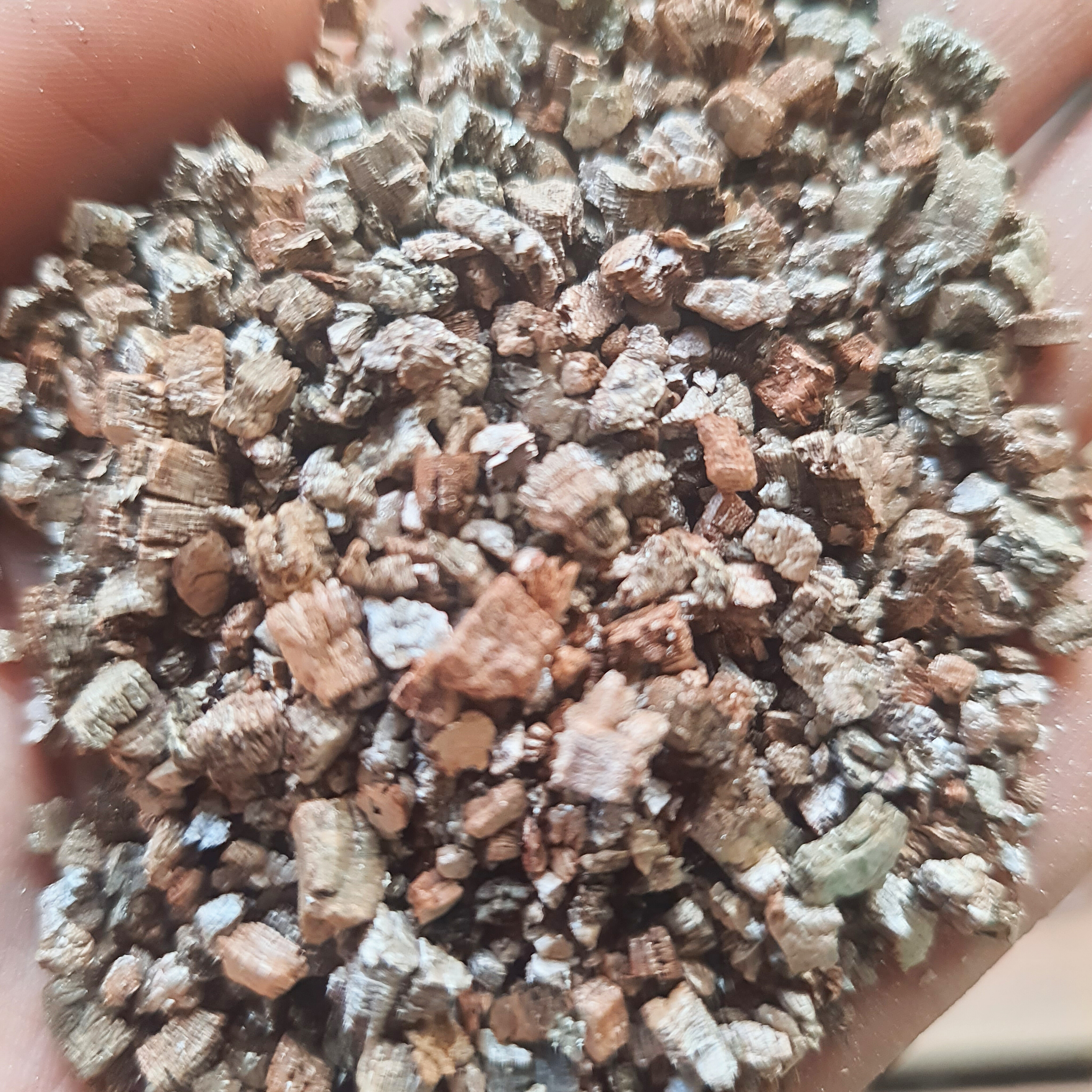 Vermiculita (200g)