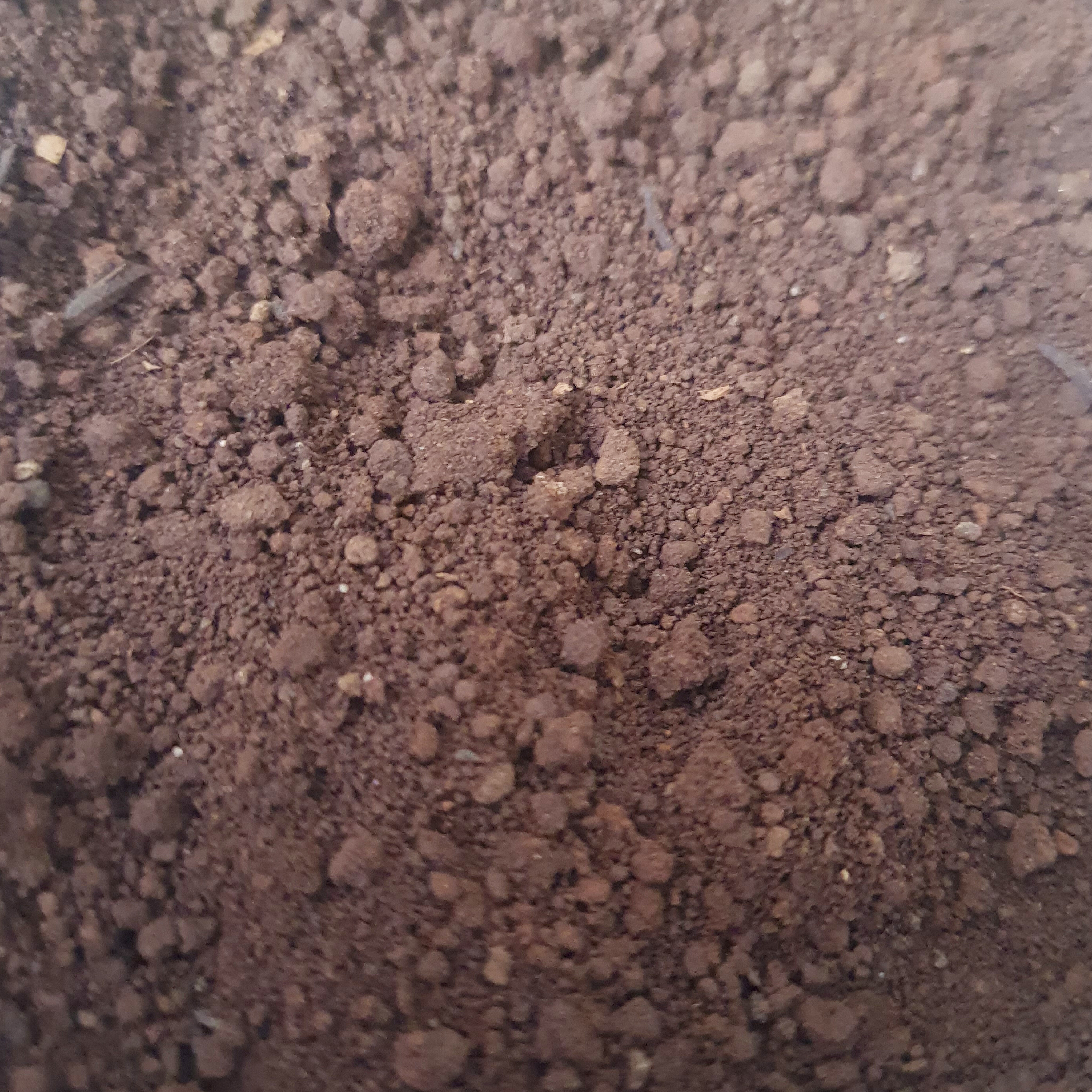 Terra Marrom 5kg