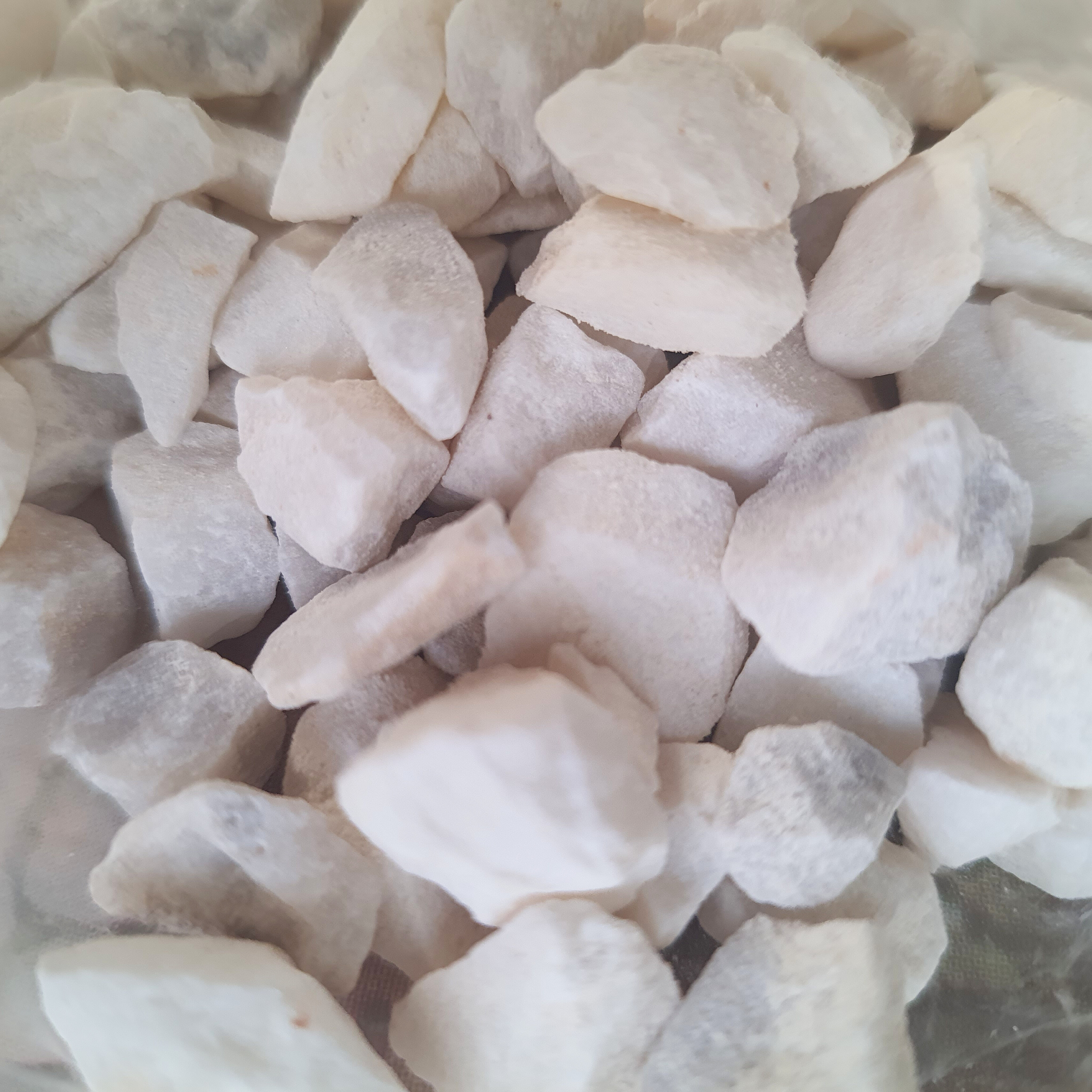 Pedrisco G (1,5kg)