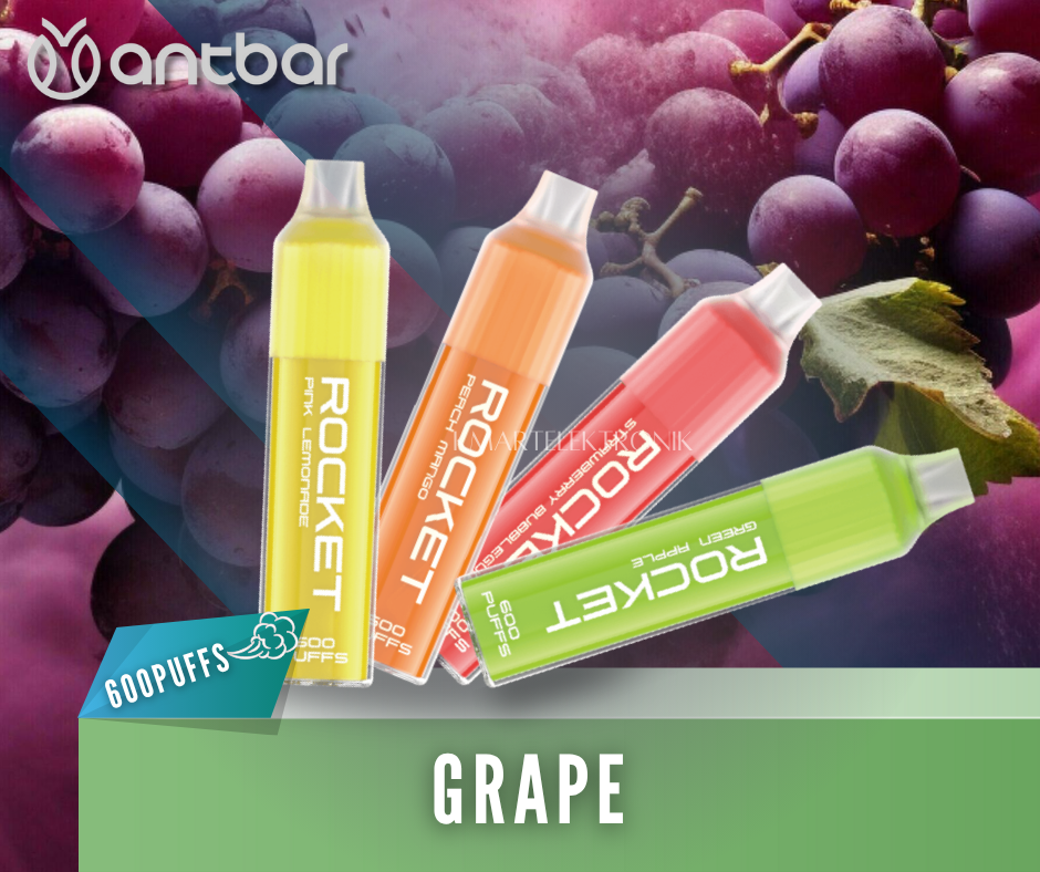 ANTBAR POKET 600puff