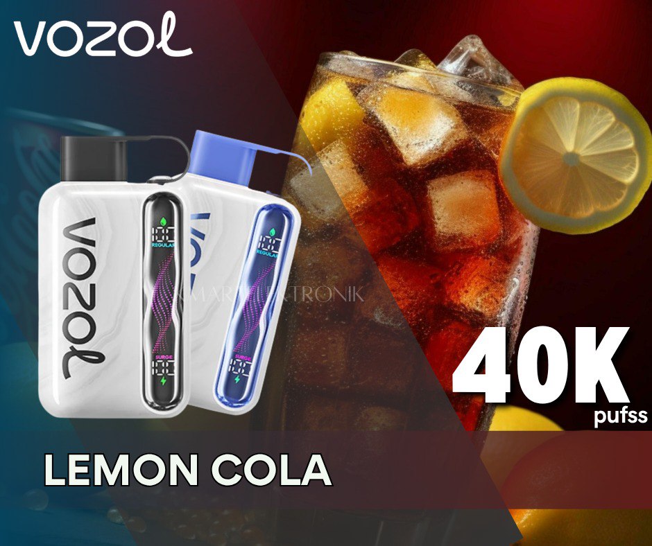 VOZOL STAR 40,000 PUFFS