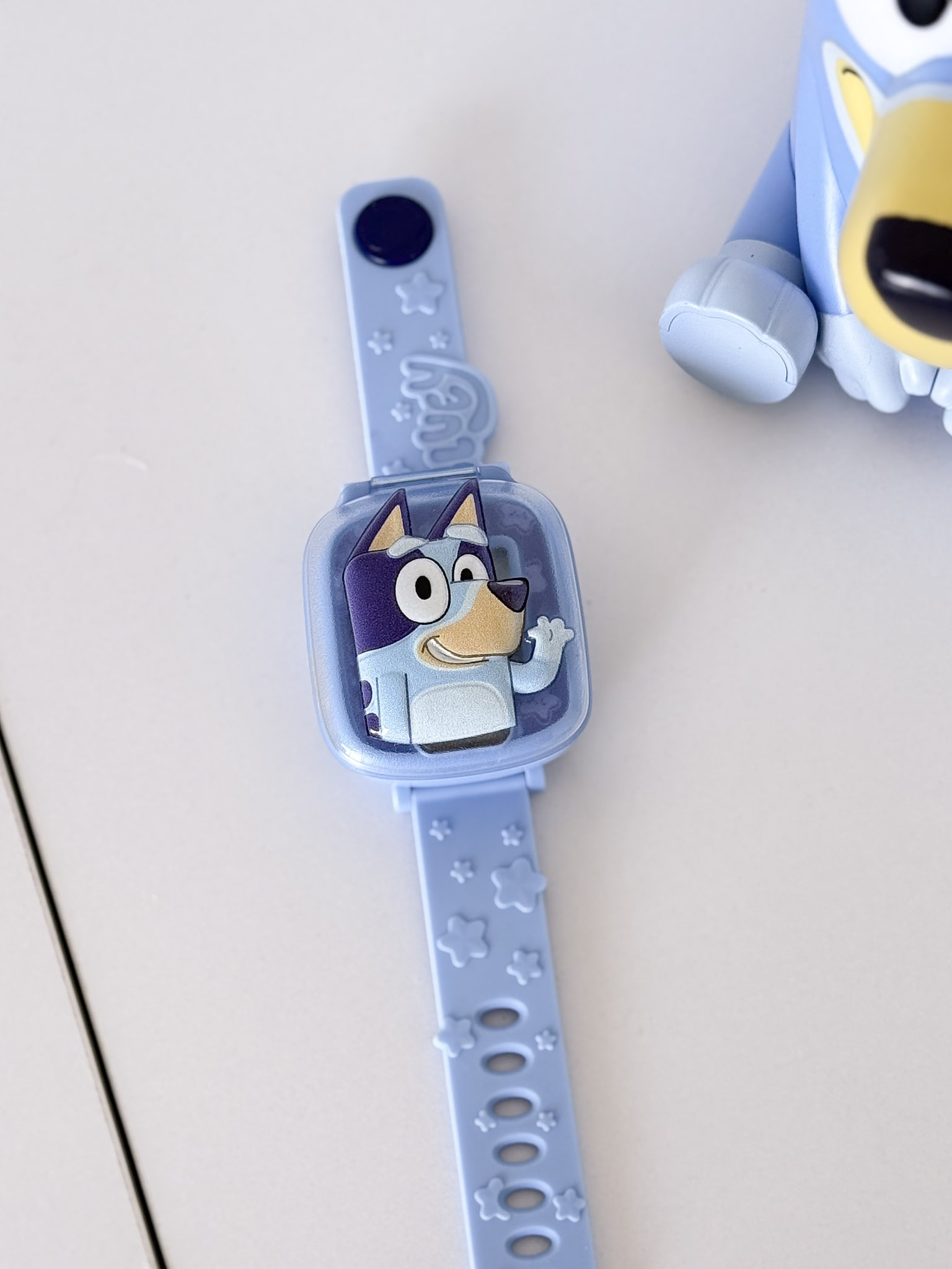 Bluey rinkinys