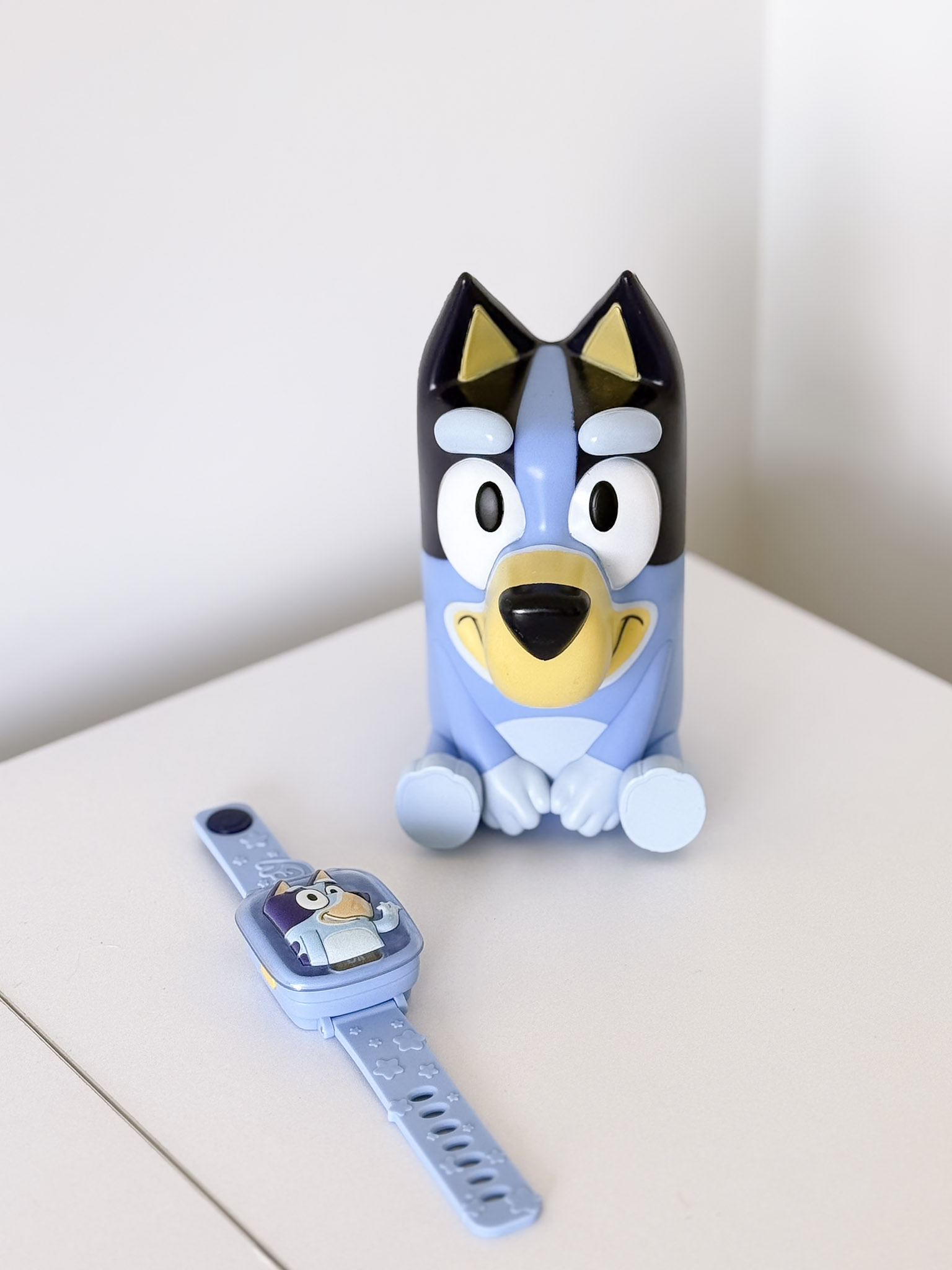 Bluey rinkinys