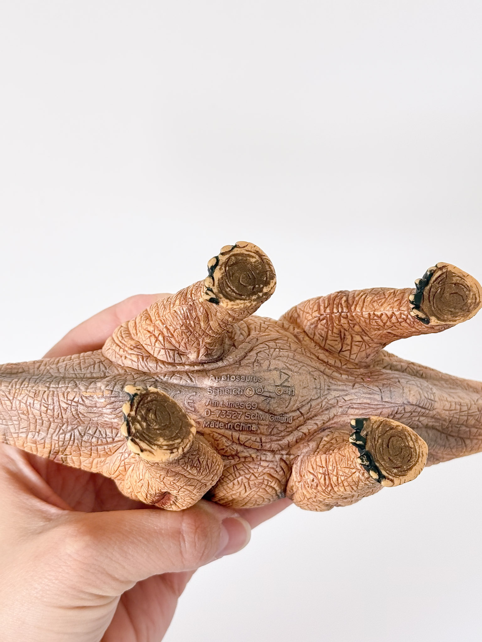 Dinozaurų rinkinys