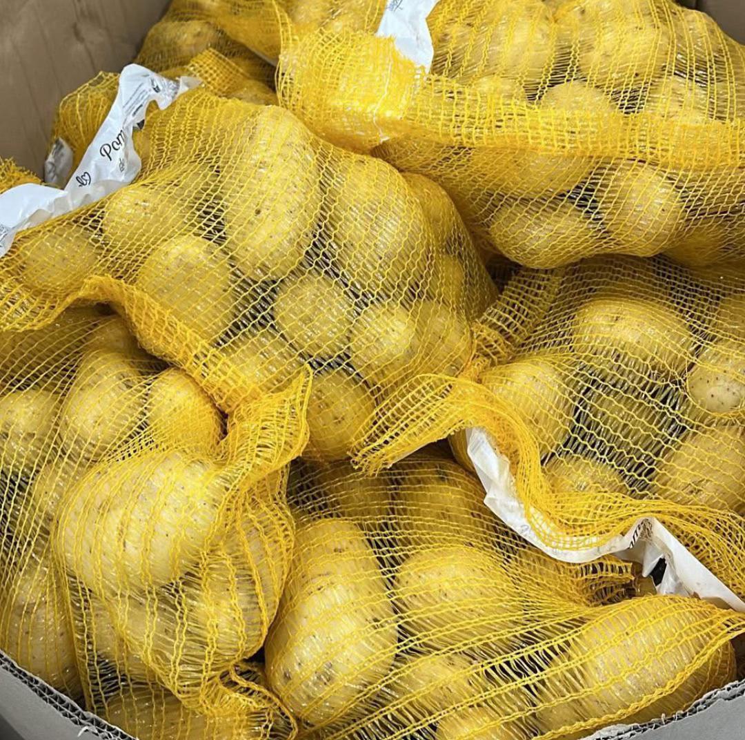 Pommes de terre fraîches